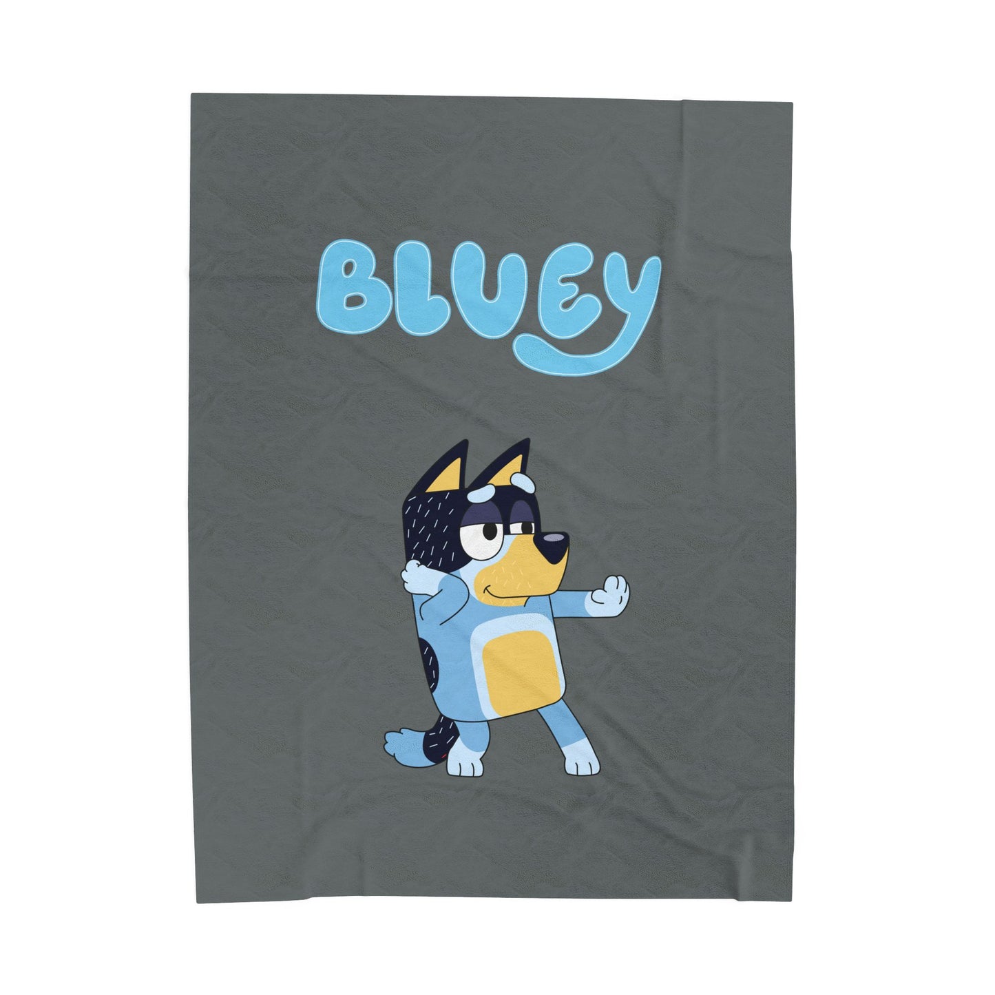 Princess Grace Bluey Velveteen Plush Blanket for Kids Soft and Cozy