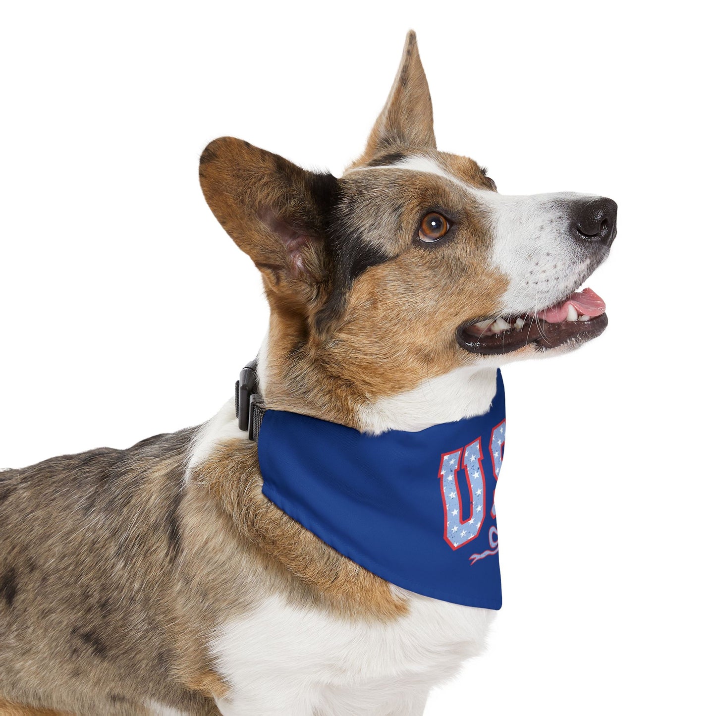 Princess Grace USA Patriotic Pet Bandana Collar for Dogs Perfect for Holidays and Celebrations