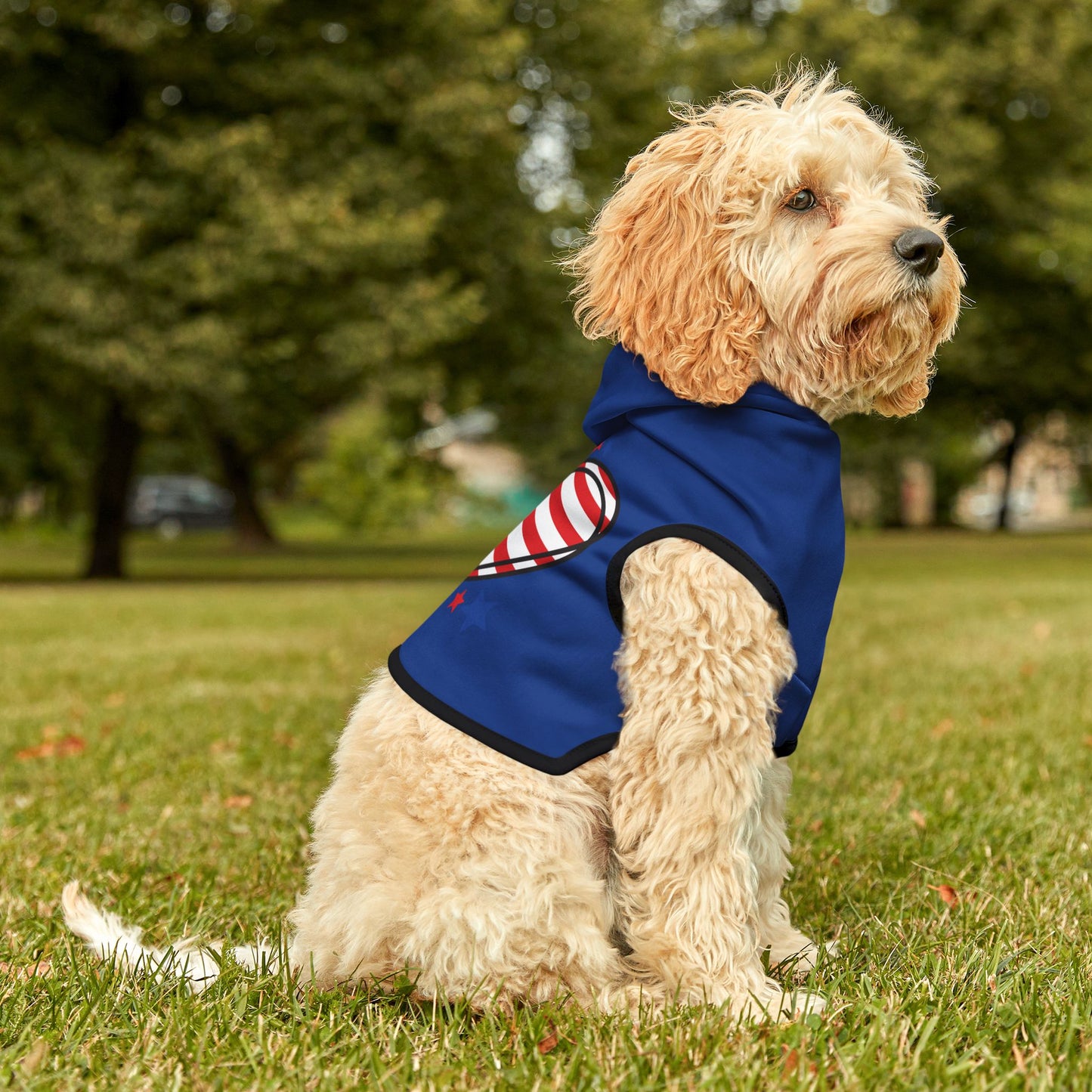 Princess Grace Patriotic Pet Hoodie Red White Blue Heart Design
