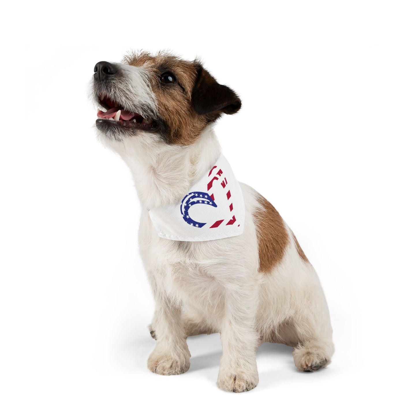 Princess Grace Patriotic Pet Bandana Collar Heart Design for Dogs