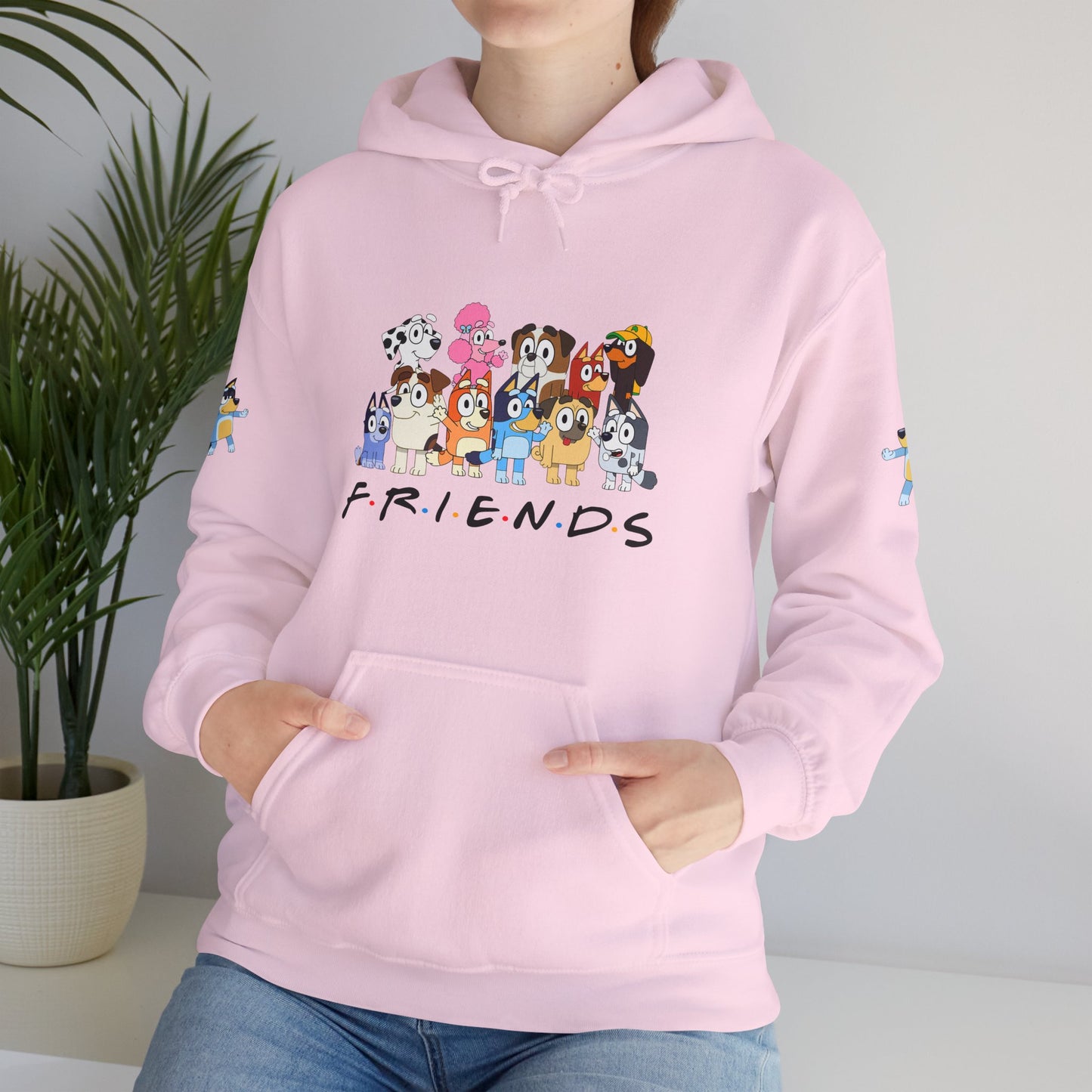 Princess Grace Bluey Unisex Heavy Blend Hooded Sweatshirt 'Friends' Cartoon Design