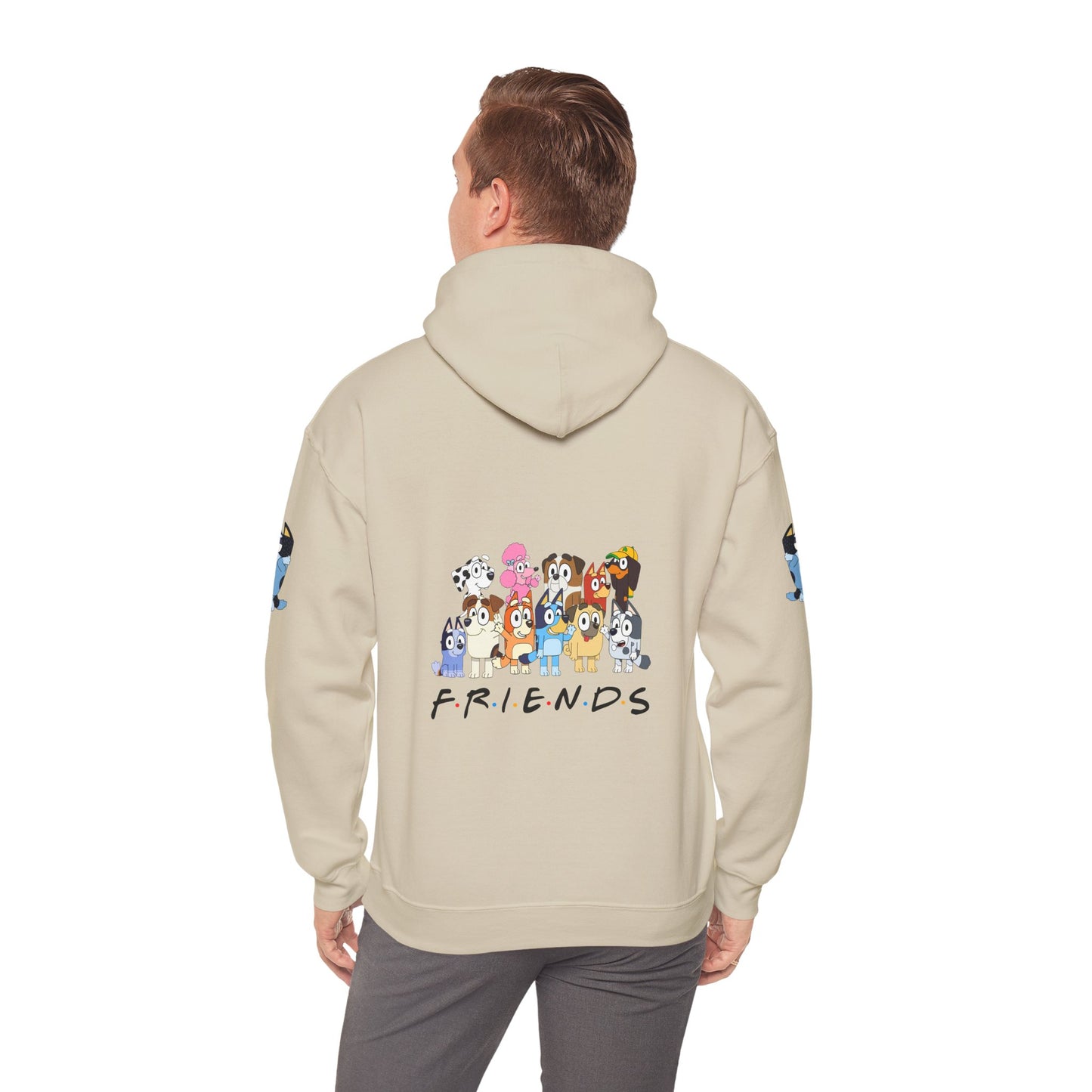 Princess Grace Bluey Unisex Heavy Blend Hooded Sweatshirt 'Friends' Cartoon Design