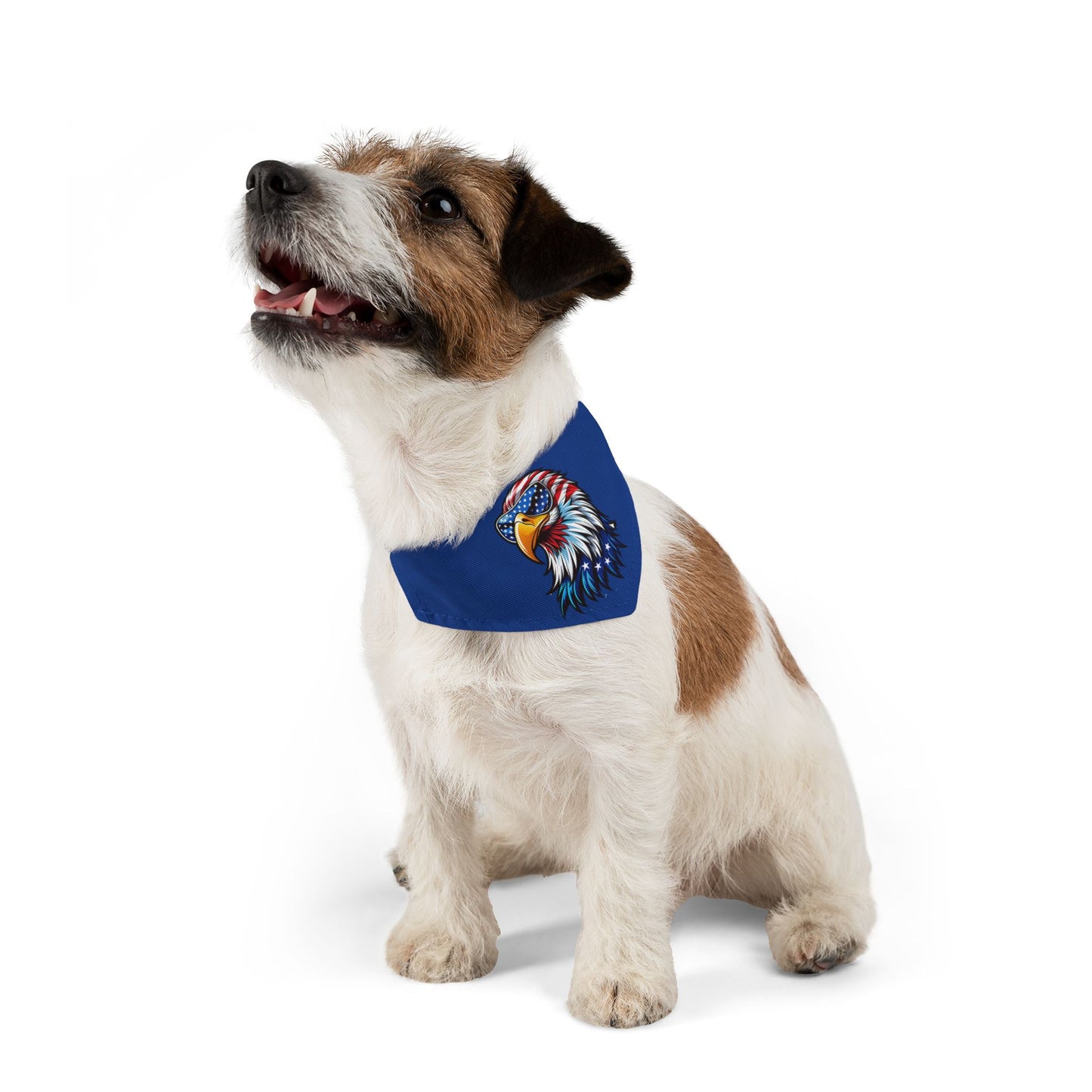 Princess Grace Patriotic Eagle Pet Bandana Collar for Dogs Perfect for July 4th Celebrations