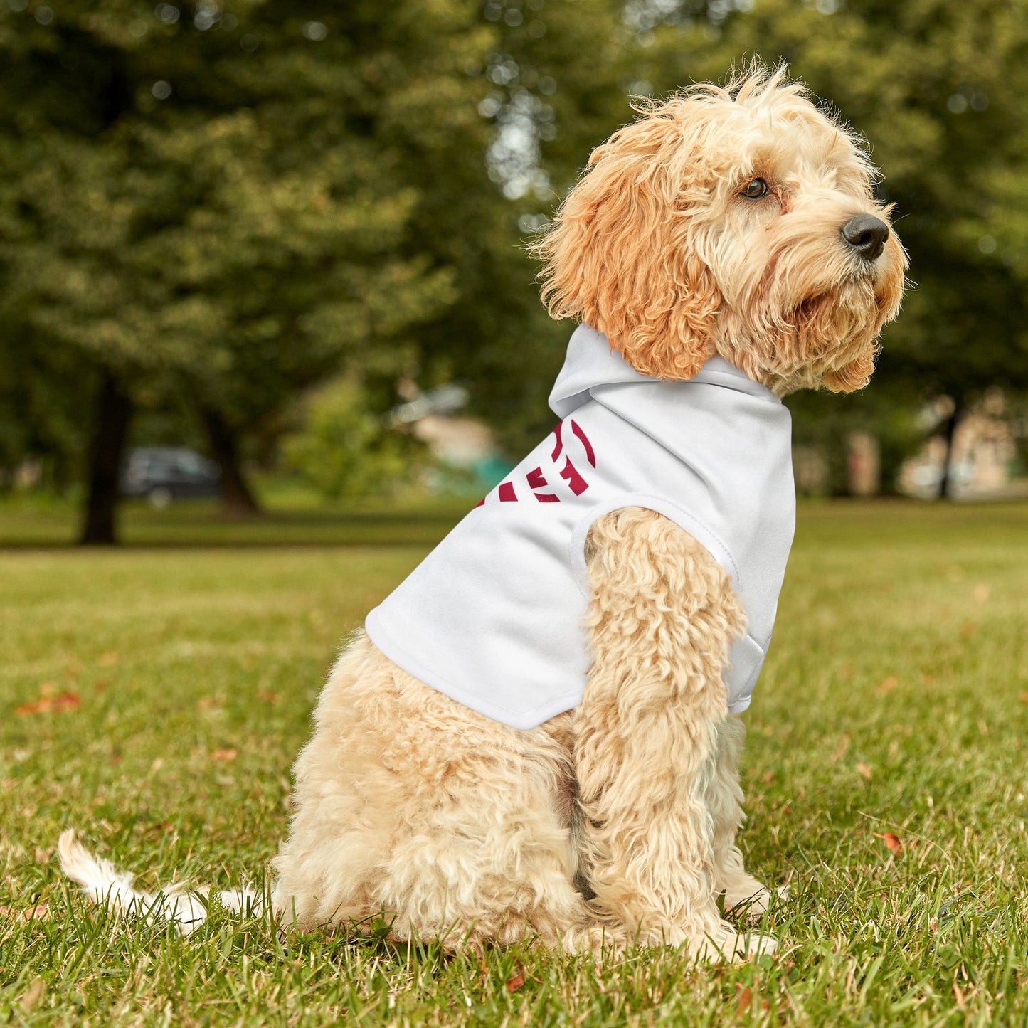 Princess Grace Patriotic Pet Hoodie Stylish Dog Apparel for Independence Day