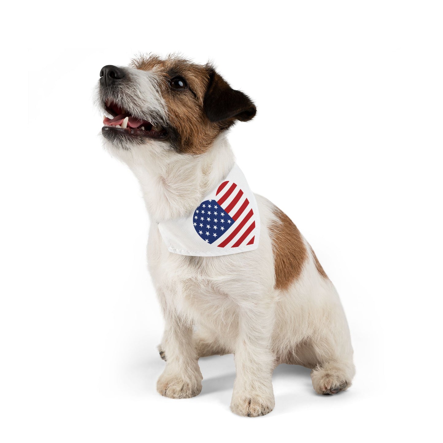 Princess Grace Patriotic Pet Bandana Collar USA Heart Design for Dogs