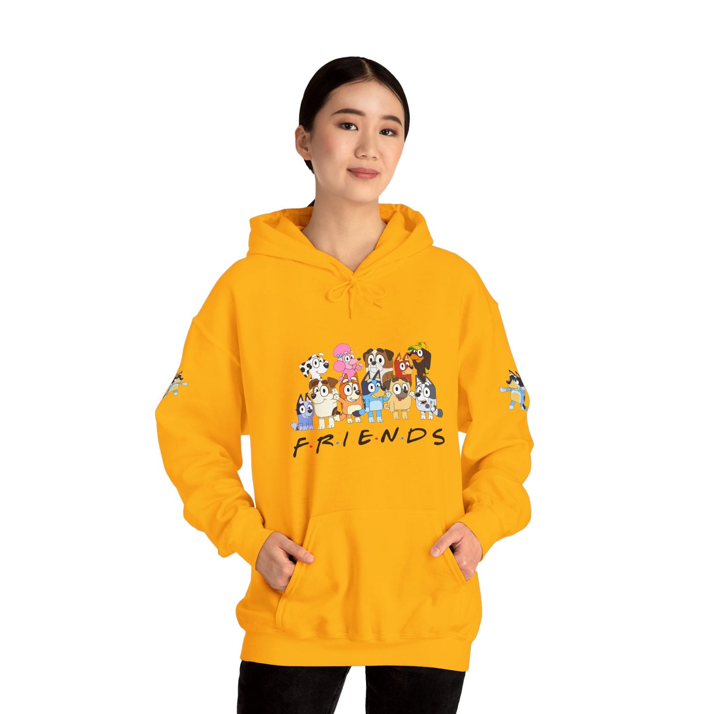 Princess Grace Bluey Unisex Heavy Blend Hooded Sweatshirt 'Friends' Cartoon Design
