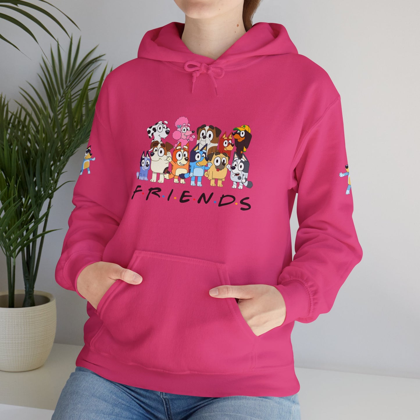 Princess Grace Bluey Unisex Heavy Blend Hooded Sweatshirt 'Friends' Cartoon Design