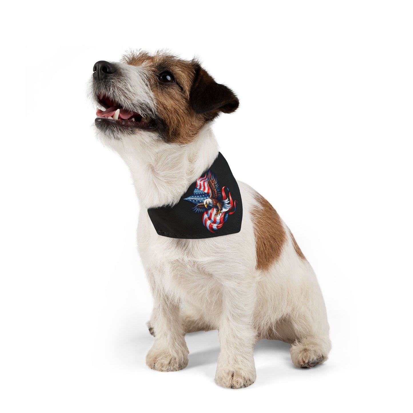 Princess Grace Patriotic Pet Bandana Collar with Eagle Design