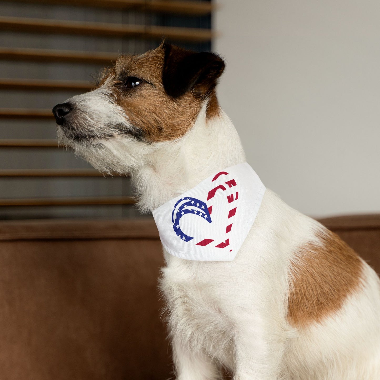Princess Grace Patriotic Pet Bandana Collar Heart Design for Dogs