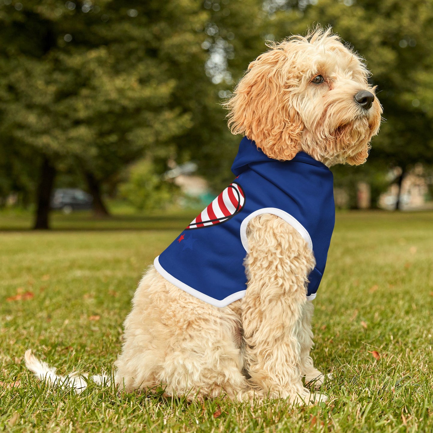Princess Grace Patriotic Pet Hoodie Red White Blue Heart Design