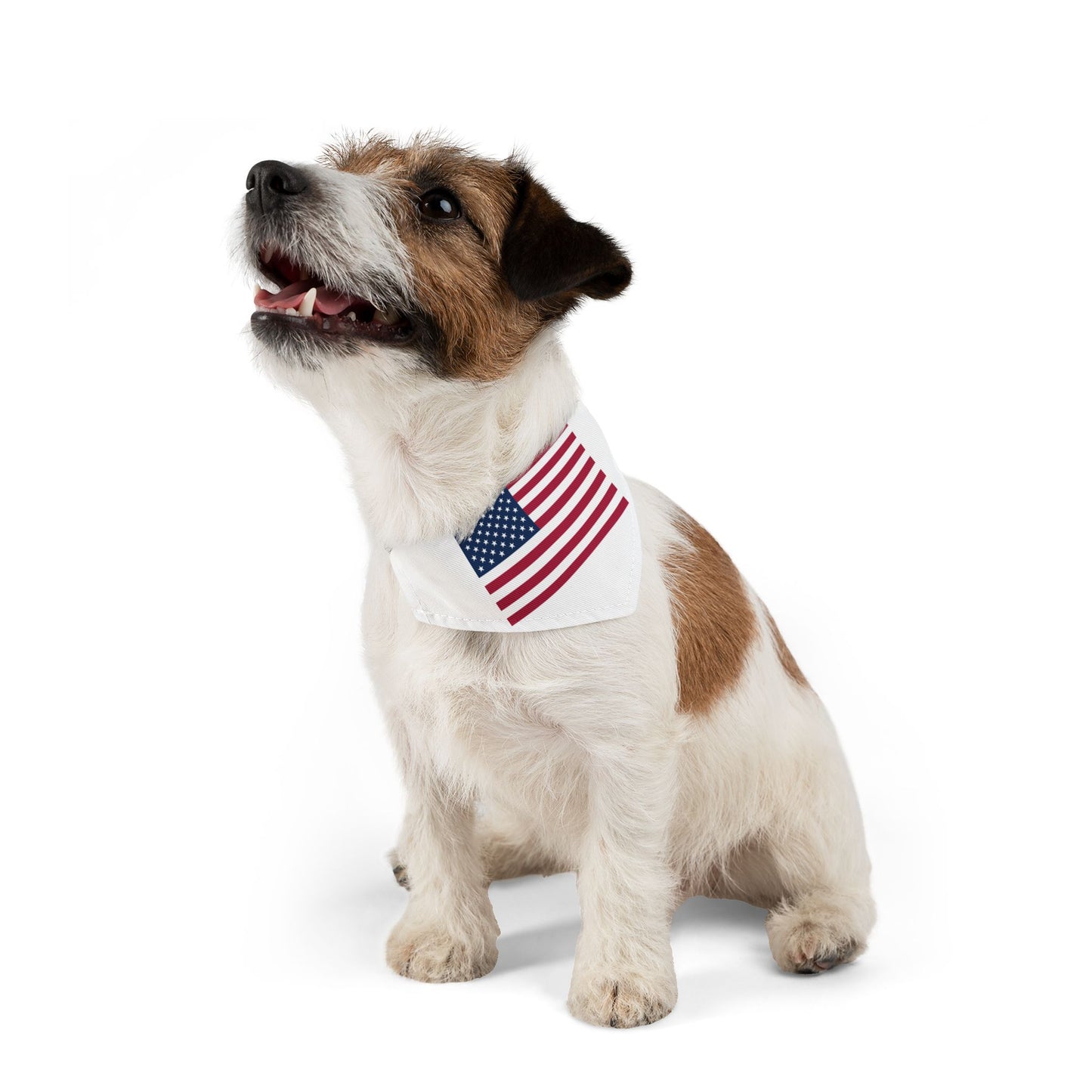 Princess Grace Patriotic Pet Bandana Collar USA Flag Design for Dogs