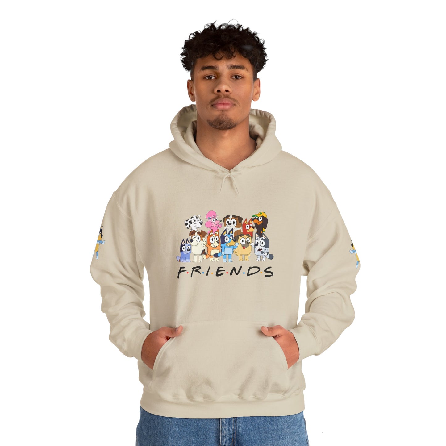 Princess Grace Bluey Unisex Heavy Blend Hooded Sweatshirt 'Friends' Cartoon Design
