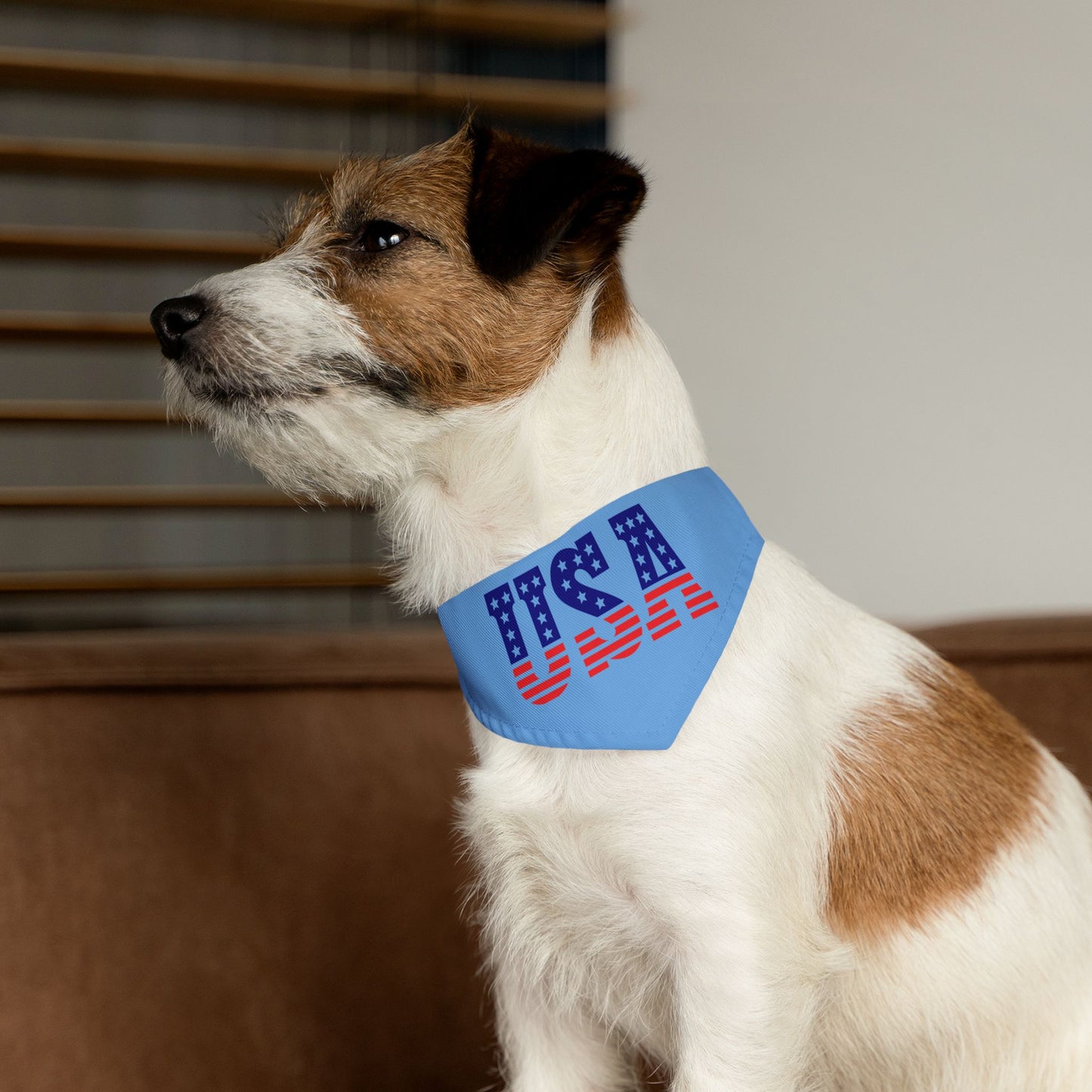 Princess Grace Patriotic Pet Bandana Collar USA Flag Design for Dogs