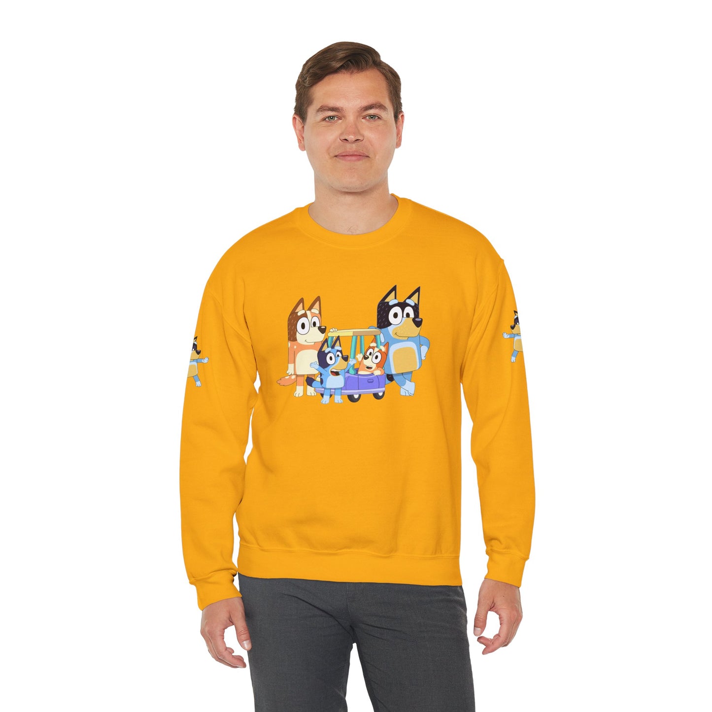 Princess Grace Bluey Cozy Cartoon Crewneck Sweatshirt for Kids and Families Perfect for Playtime and Pajama Days