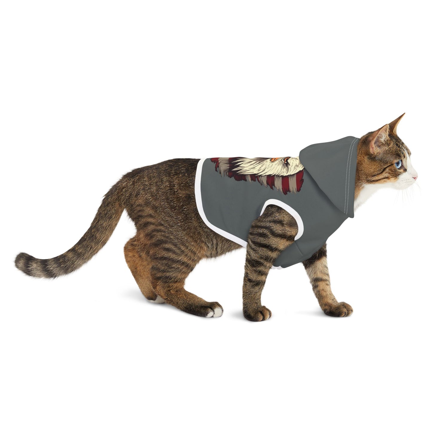 Princess Grace Patriotic Eagle Pet Hoodie for Dogs USA Flag Design