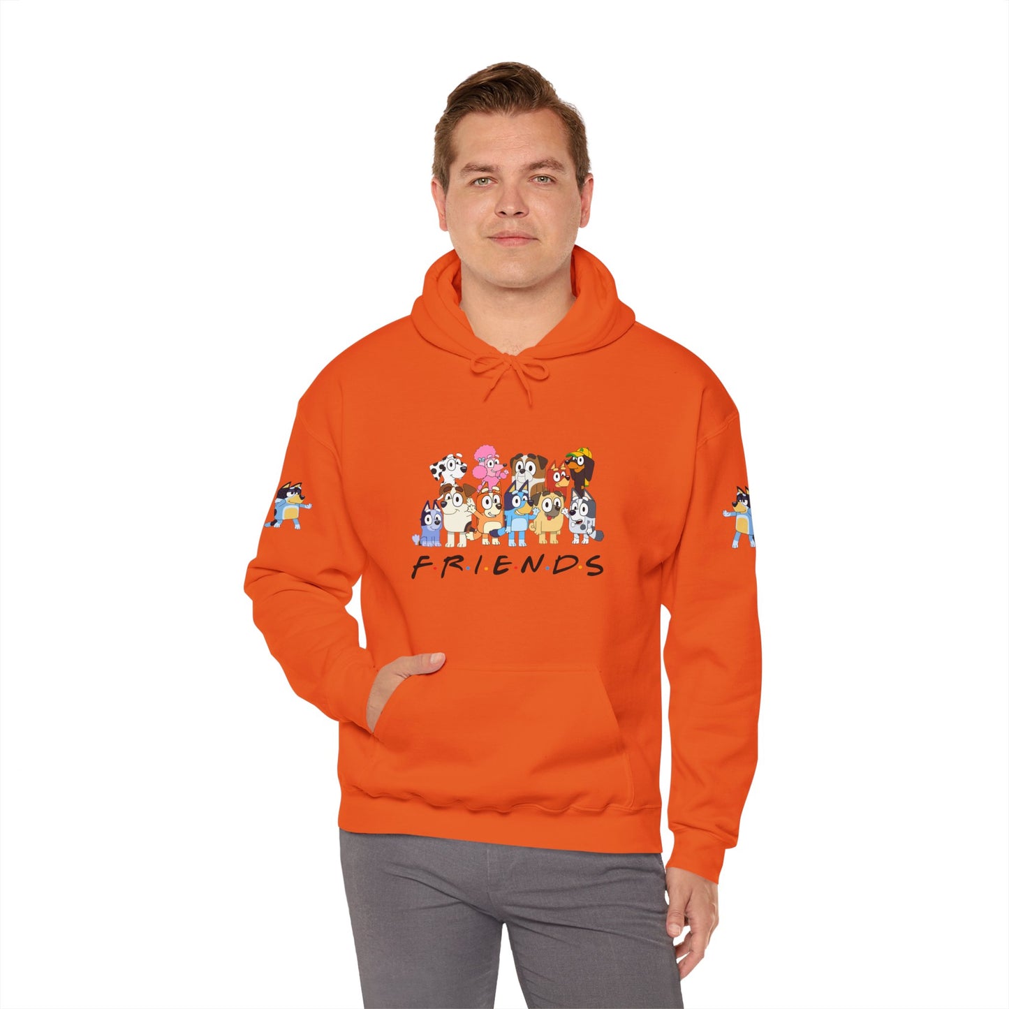 Princess Grace Bluey Unisex Heavy Blend Hooded Sweatshirt 'Friends' Cartoon Design
