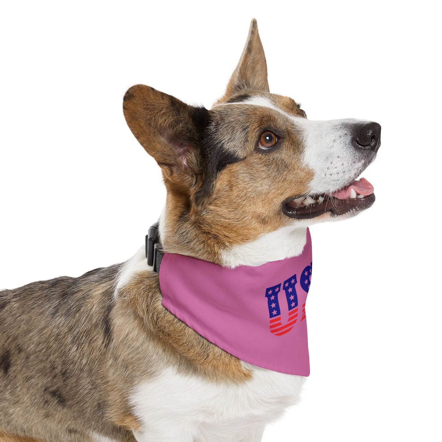 Princess Grace Patriotic Dog Bandana Collar USA Flag Design for July 4th Celebrations