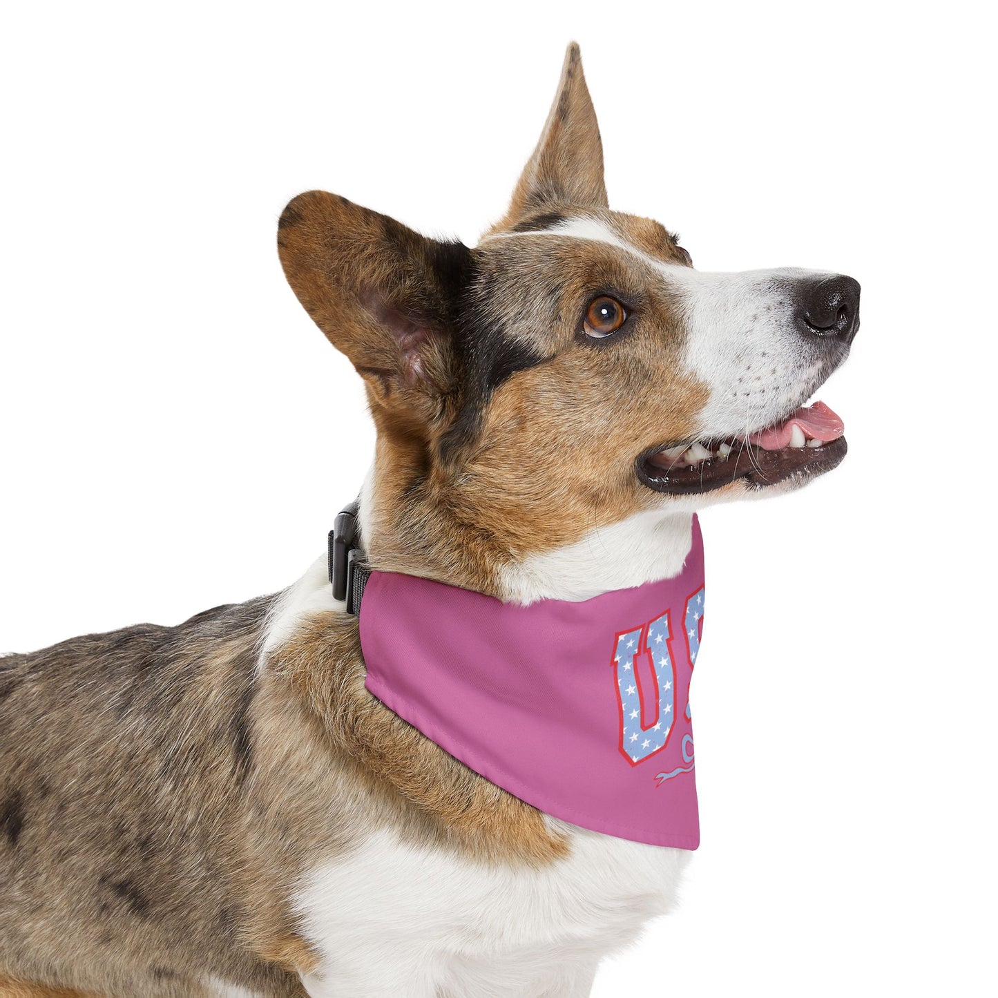 Princess Grace USA Pet Bandana Collar for Dogs Patriotic Dog Accessories