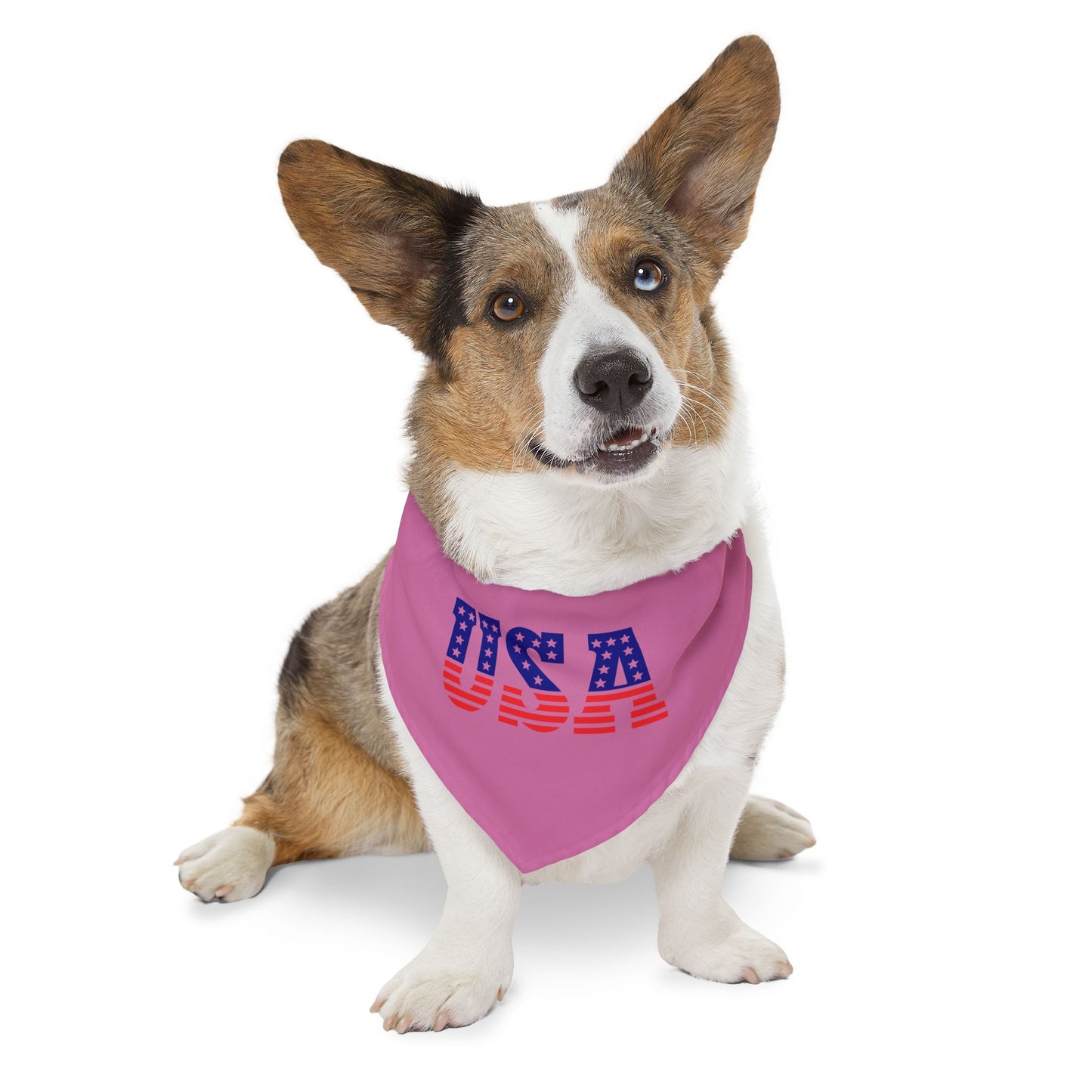 Princess Grace Patriotic Dog Bandana Collar USA Flag Design for July 4th Celebrations