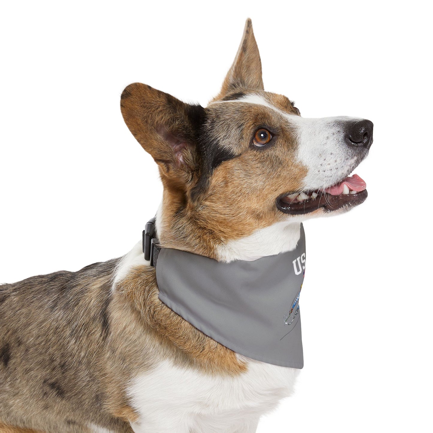 Princess Grace TEAM USA Pet Bandana Collar