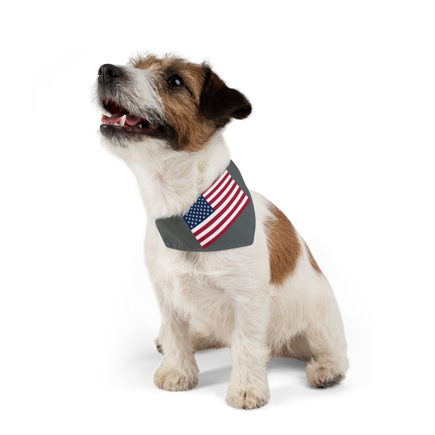 Princess Grace Patriotic Dog Bandana Collar USA Flag Design