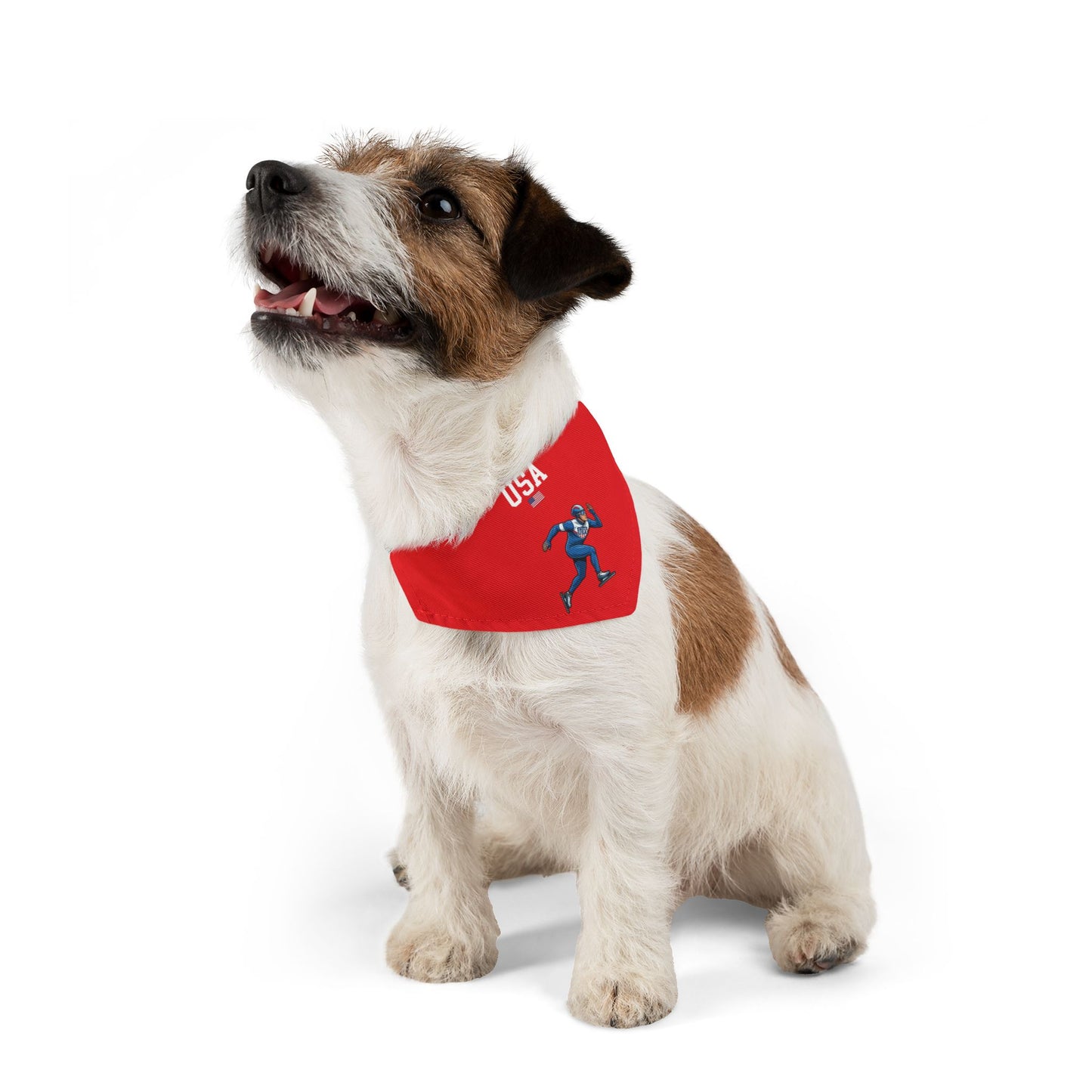 Princess Grace  TEAM USA  Pet Bandana Collar