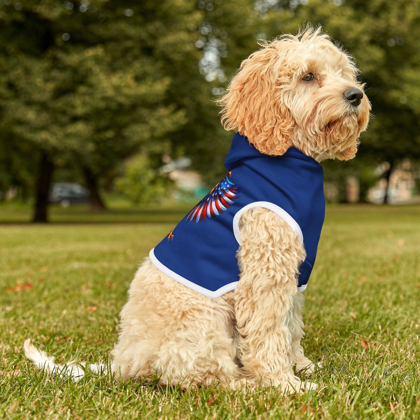 Princess Grace  Patriotic Eagle Pet Hoodie USA Flag Design for Dogs