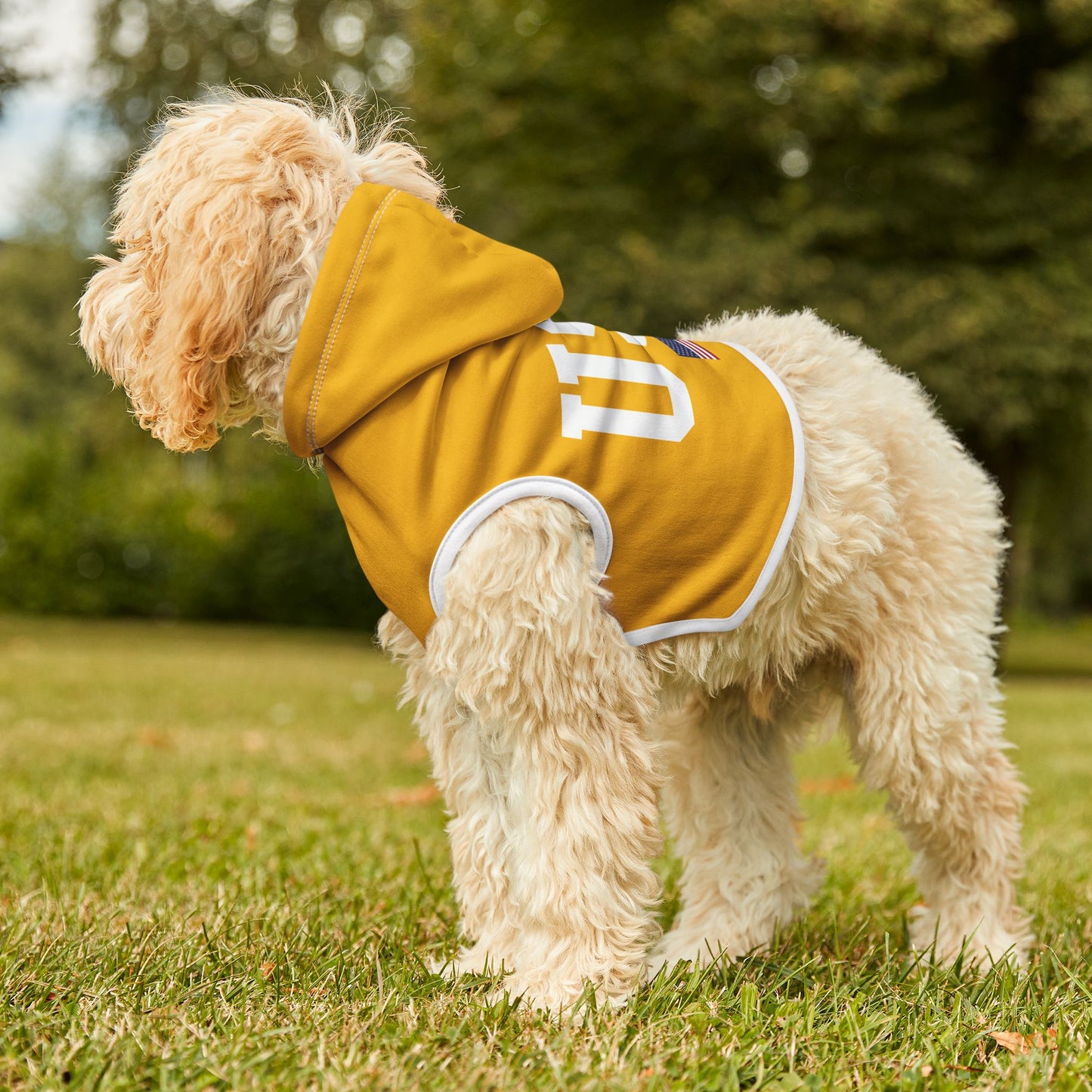 Princess Grace  TEAM USA  Pet Hoodie