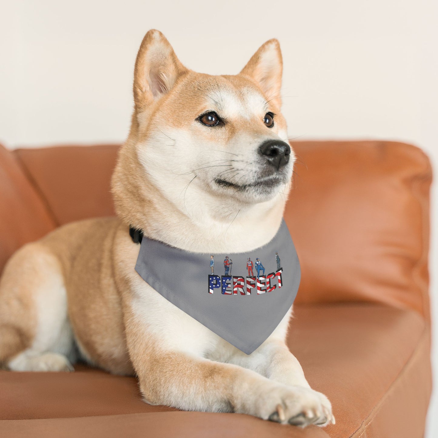 Princess Grace  TEAM USA  Pet Bandana Collar