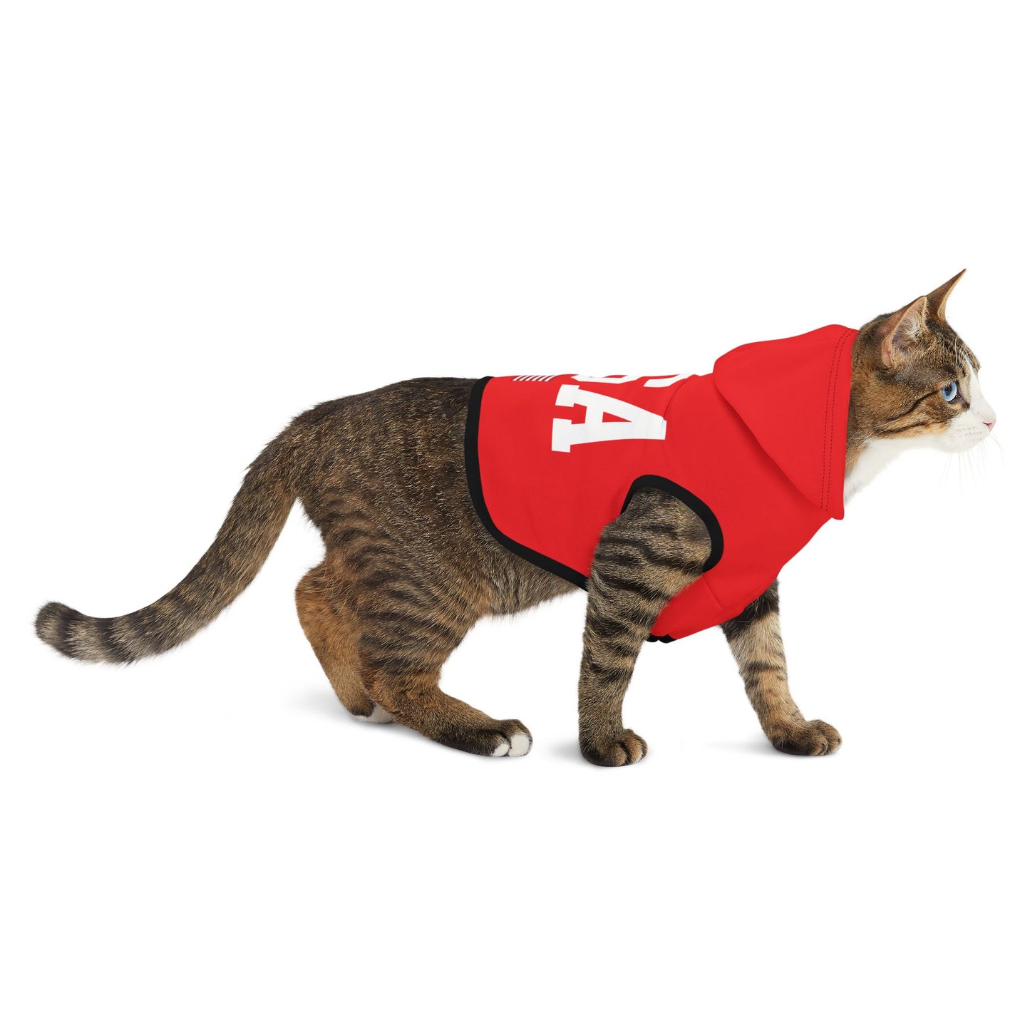 Princess Grace  TEAM USA  Pet Hoodie