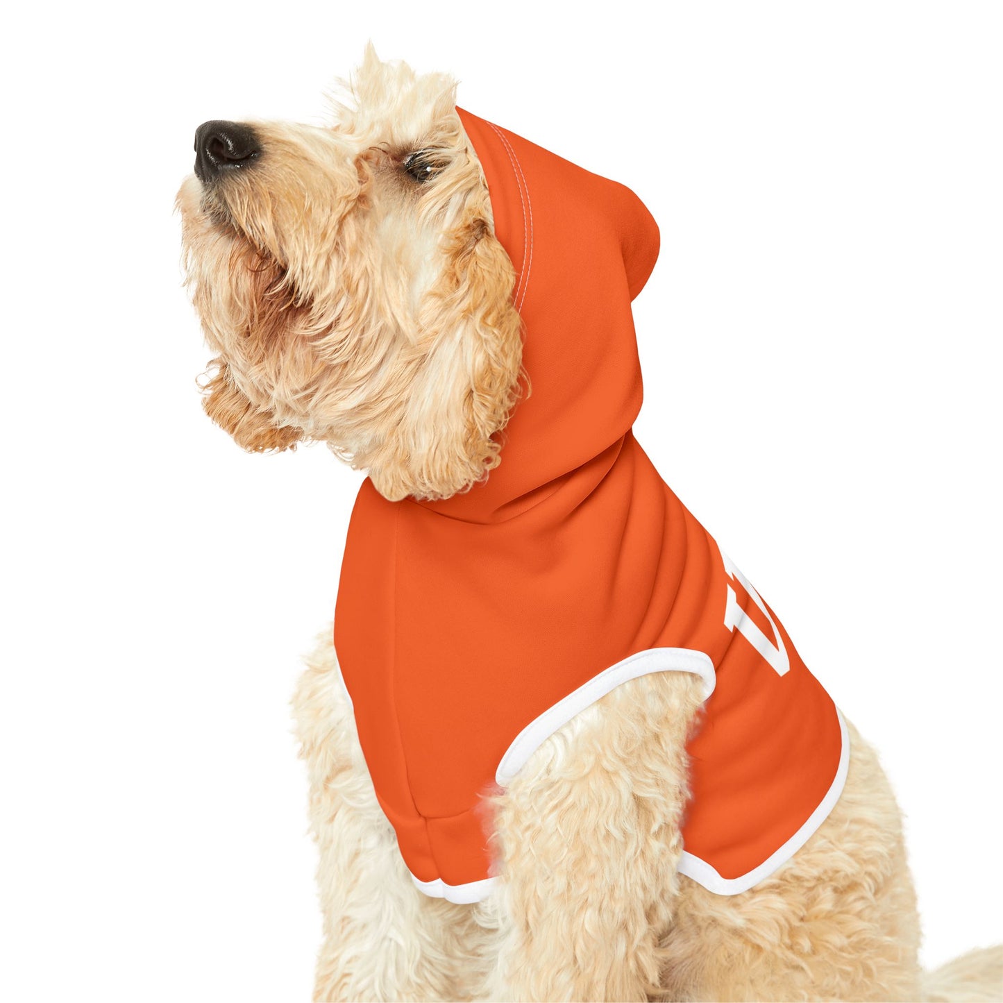 Princess Grace  TEAM USA  Pet Hoodie
