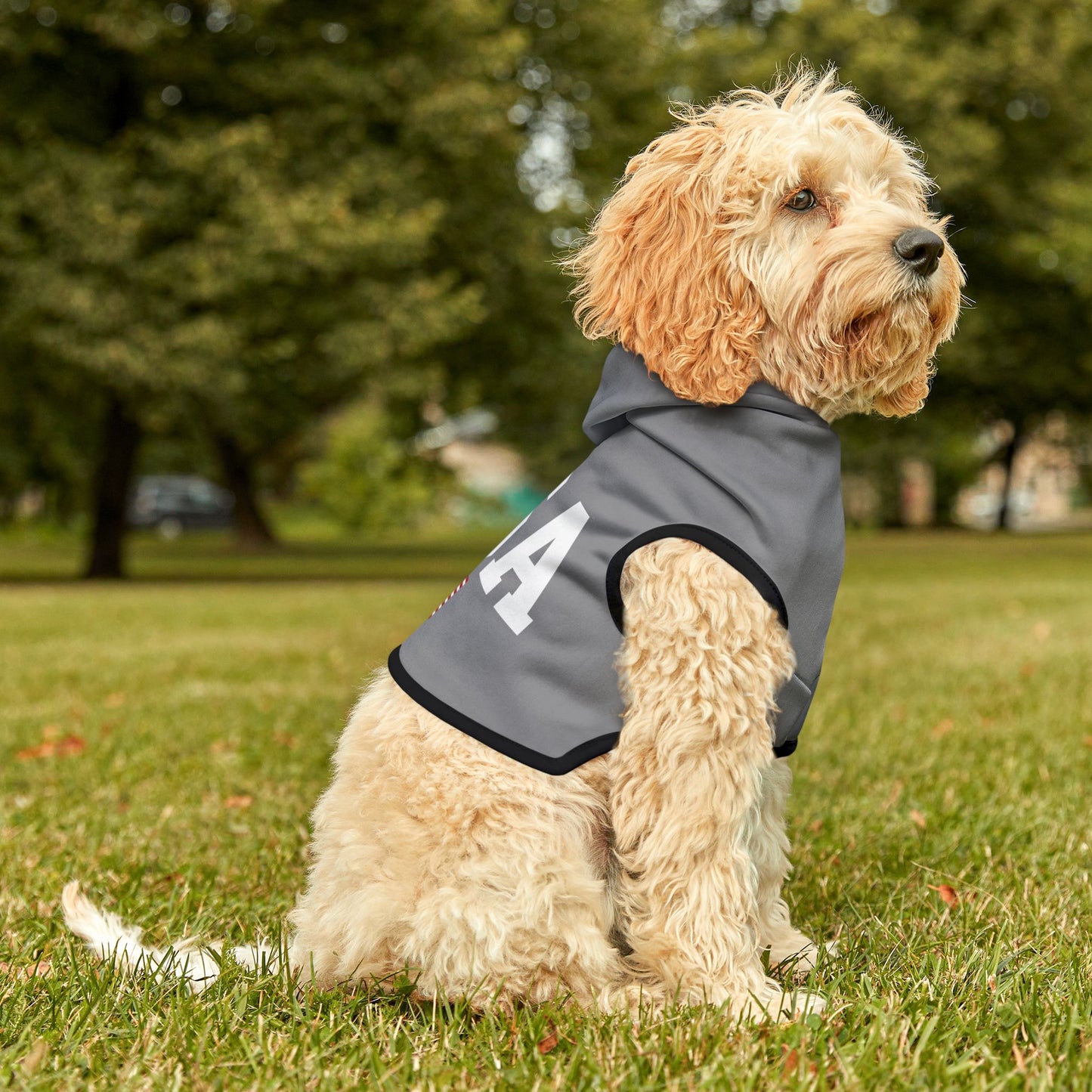 Princess Grace  TEAM USA  Pet Hoodie