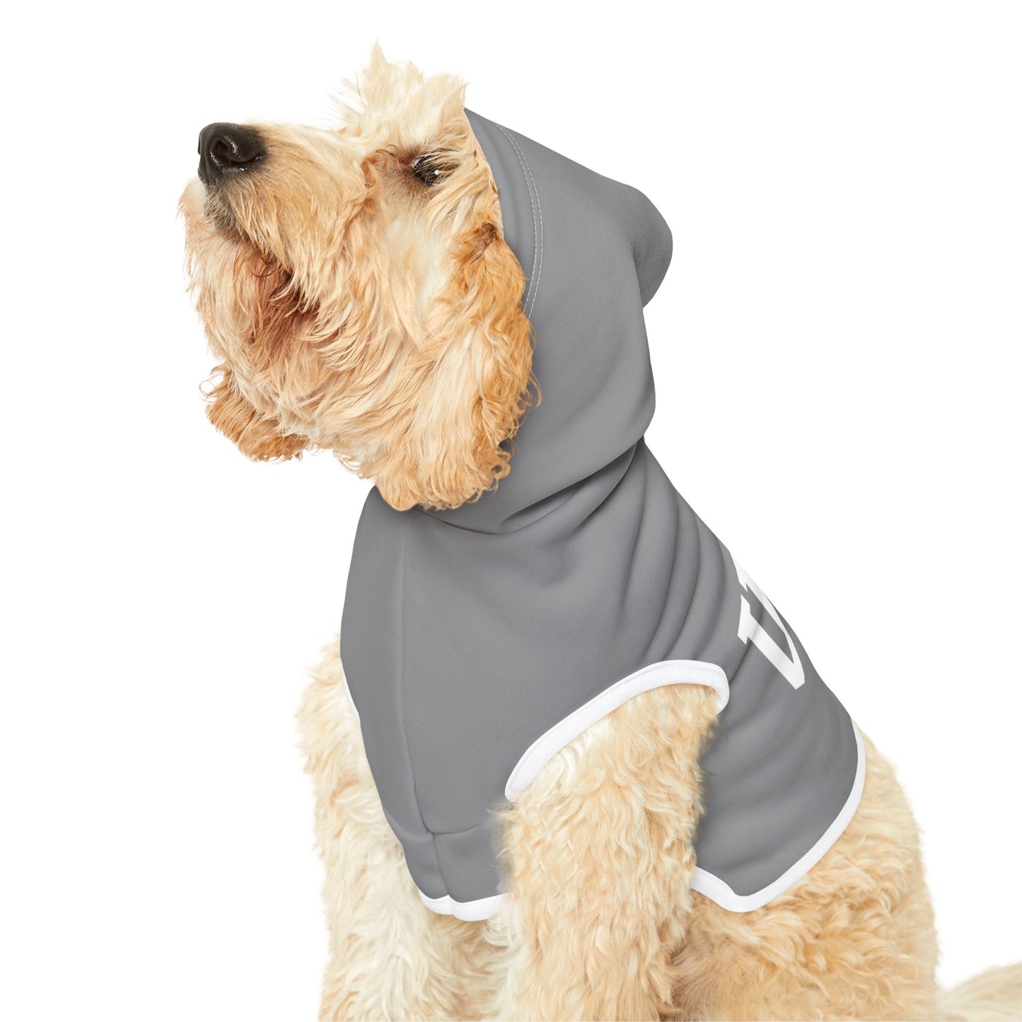 Princess Grace  TEAM USA  Pet Hoodie