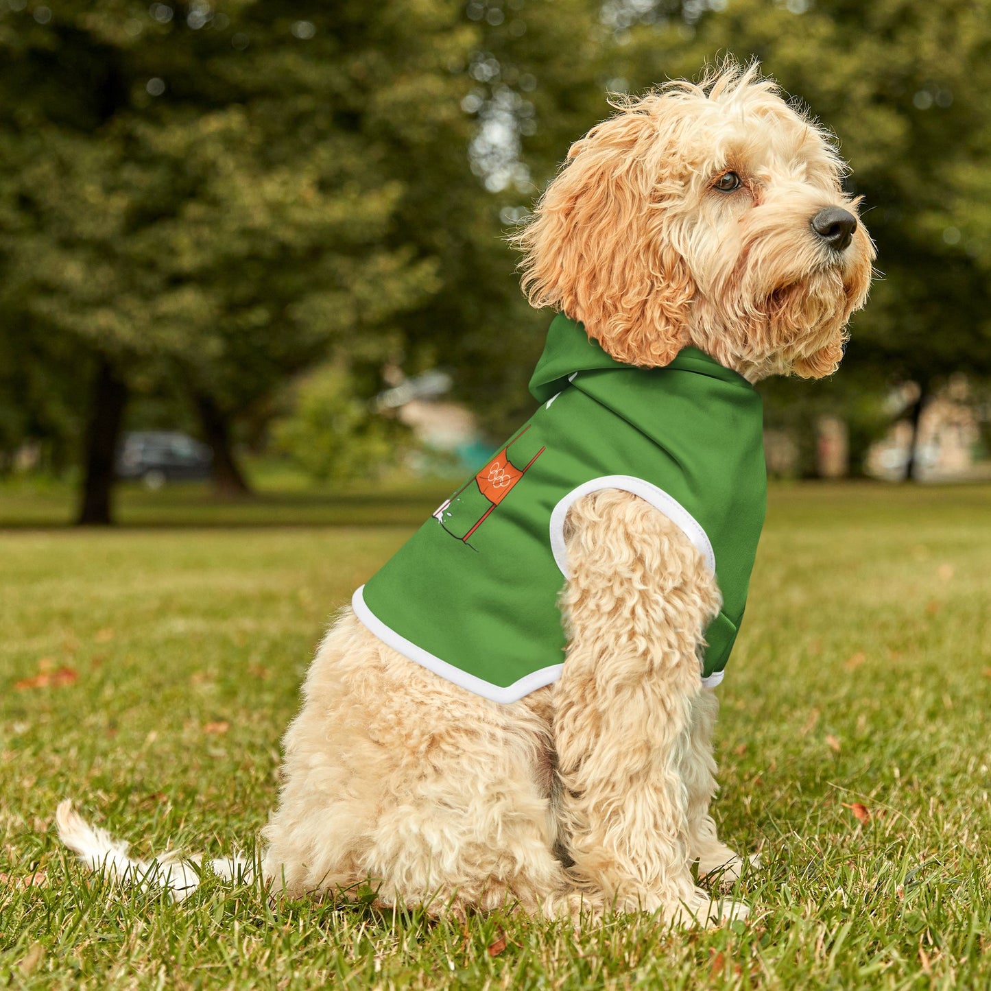 Princess Grace  TEAM USA  Pet Hoodie