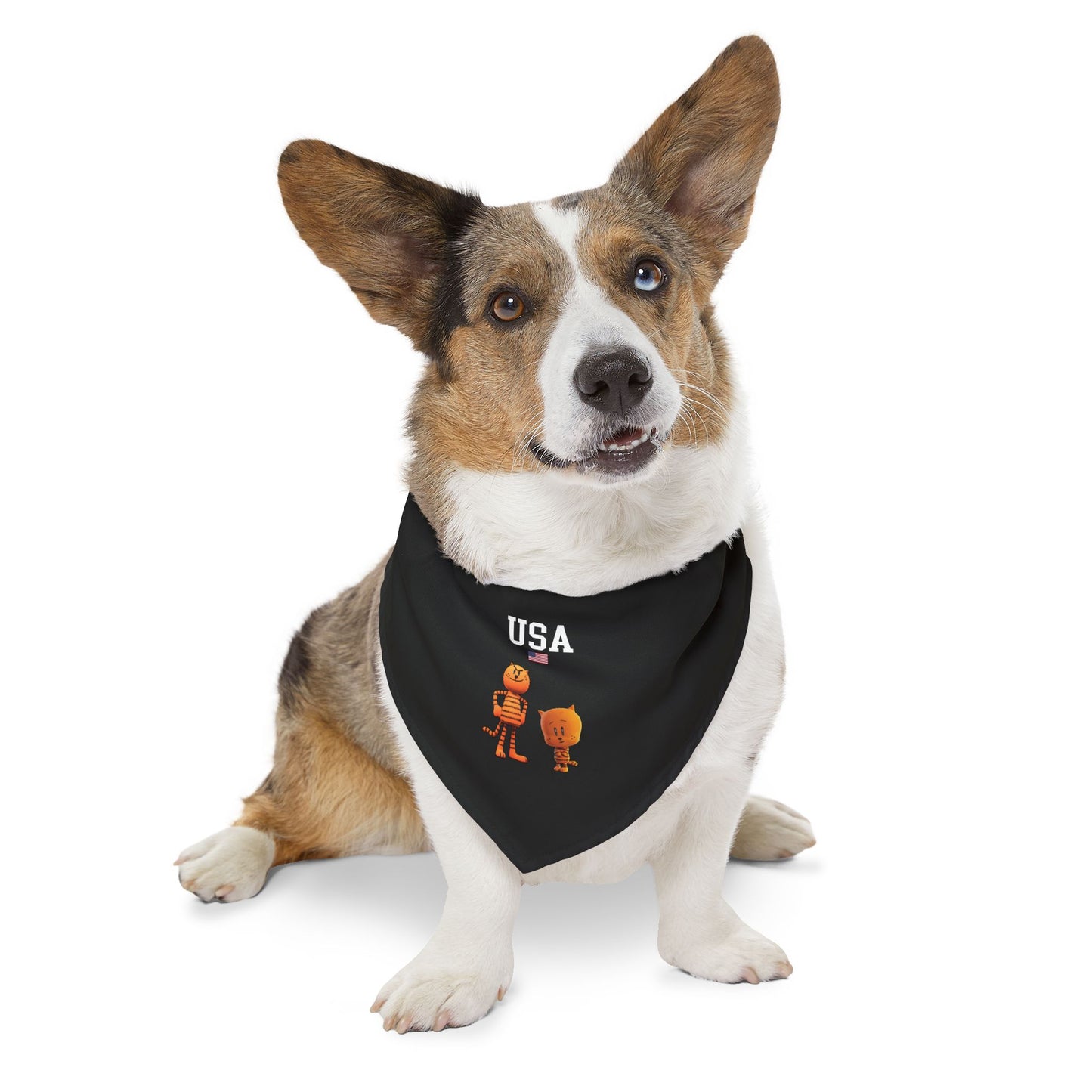 Princess Grace  TEAM USA  Pet Bandana Collar