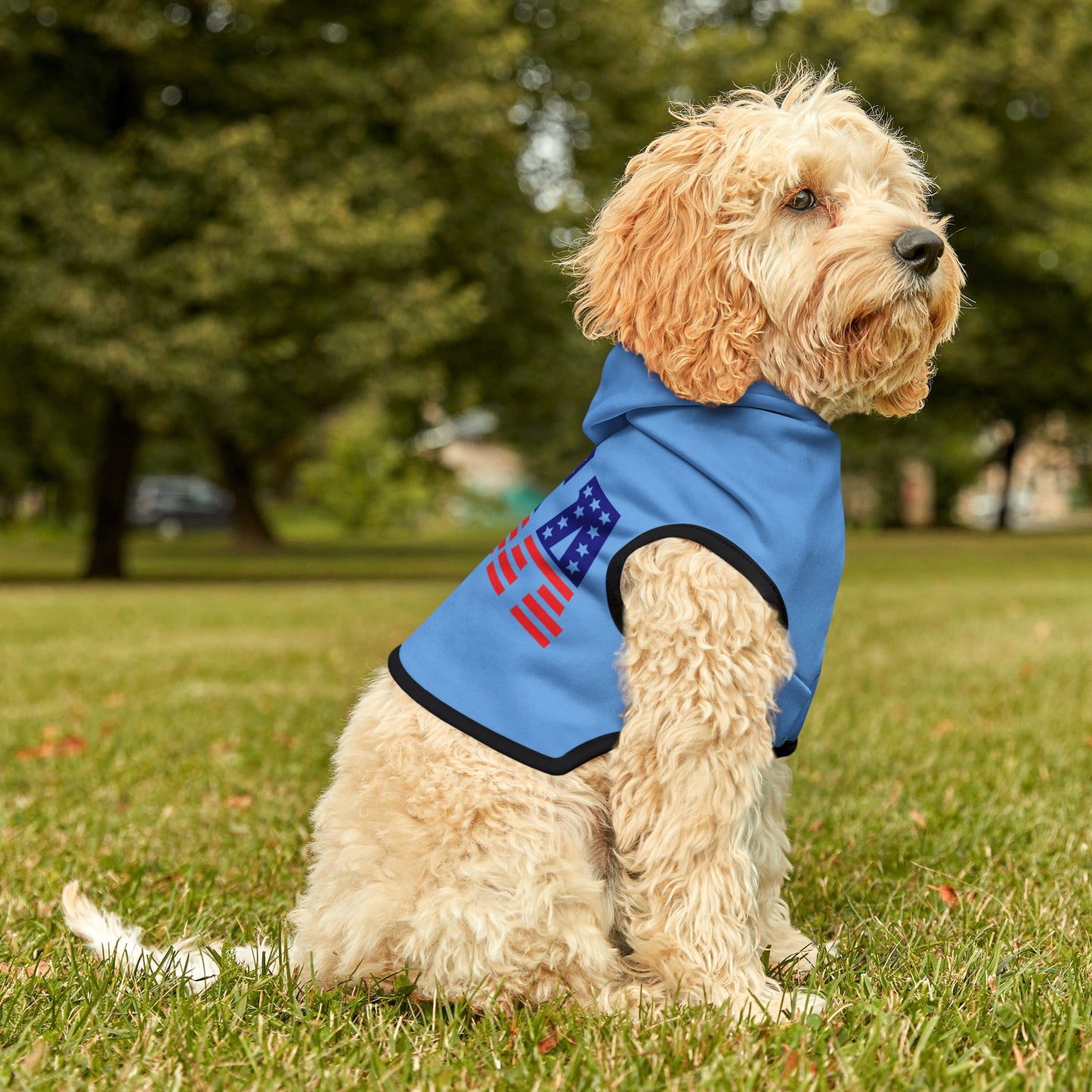 Princess Grace  USA Flag Pet Hoodie  Stylish and Cozy Dog Apparel for Holidays and Celebrations