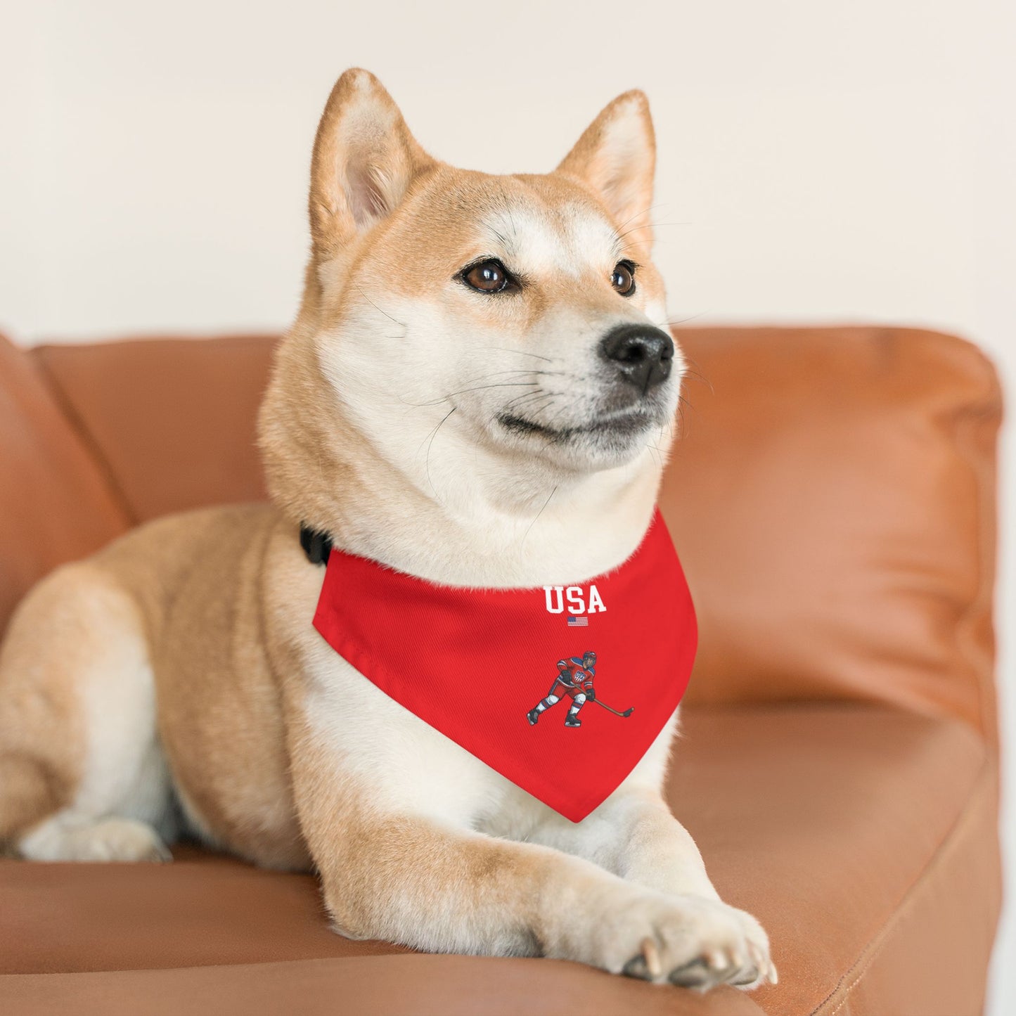 Princess Grace  TEAM USA  Pet Bandana Collar