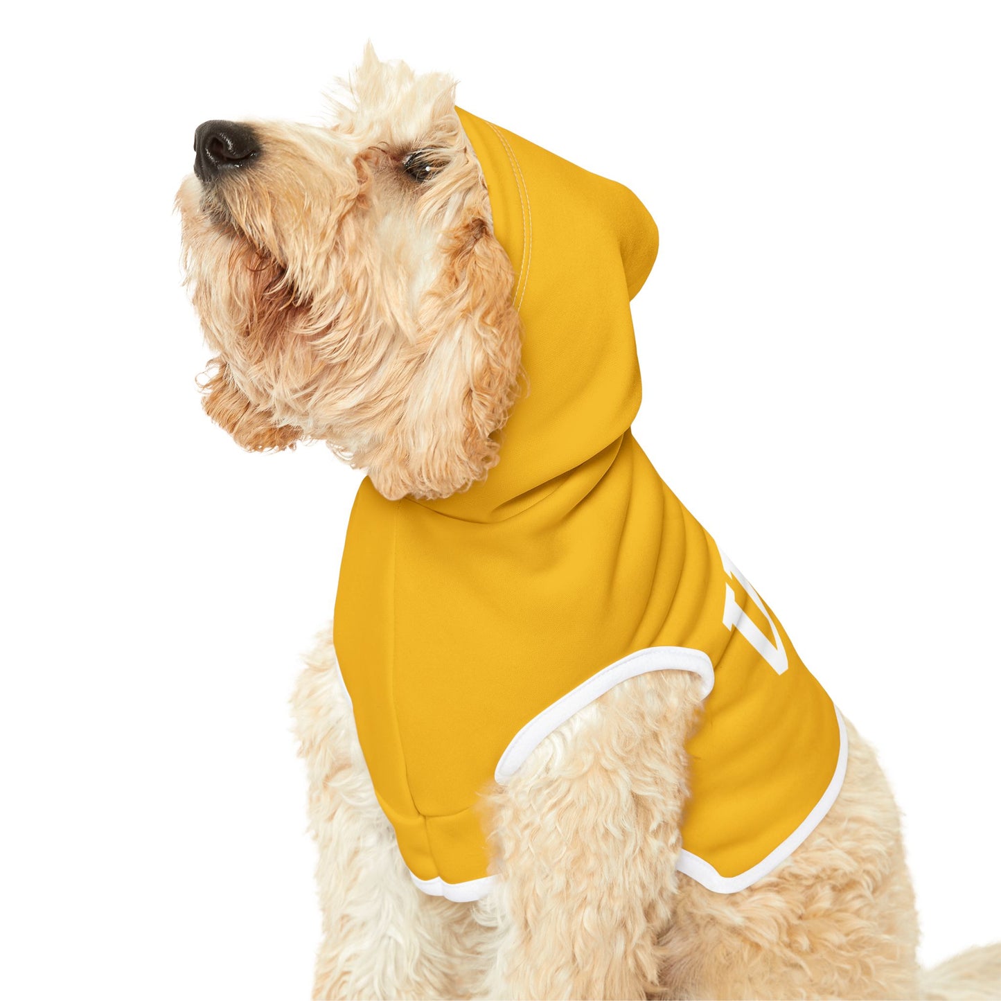 Princess Grace  TEAM USA  Pet Hoodie
