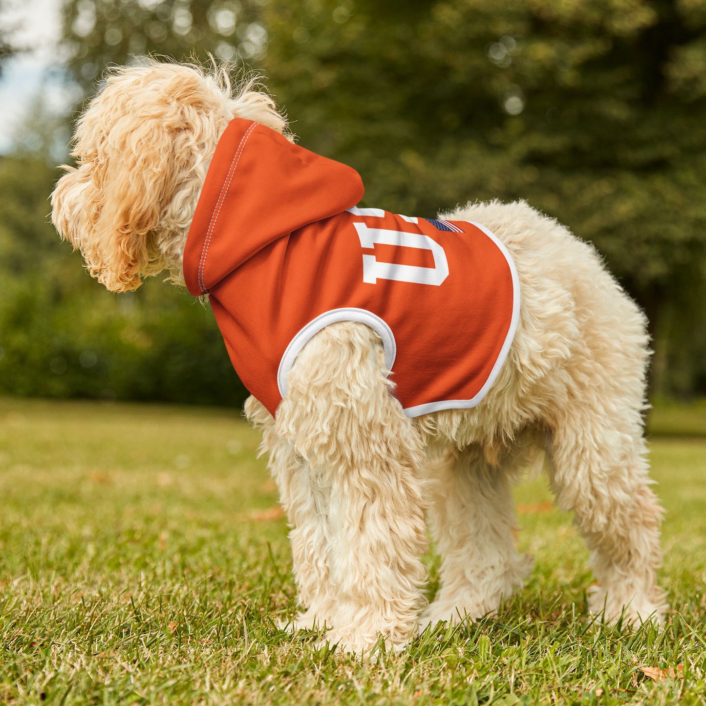 Princess Grace  TEAM USA  Pet Hoodie
