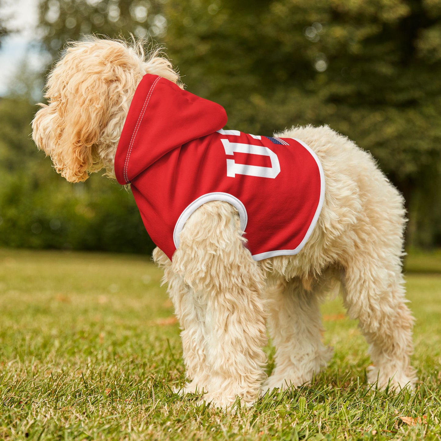 Princess Grace  TEAM USA  Pet Hoodie