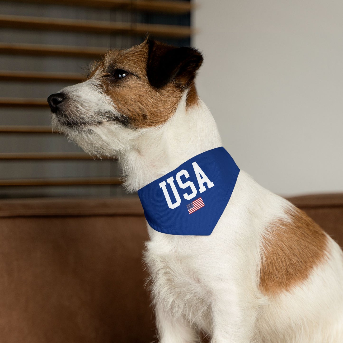 Princess Grace  TEAM USA  Pet Bandana Collar