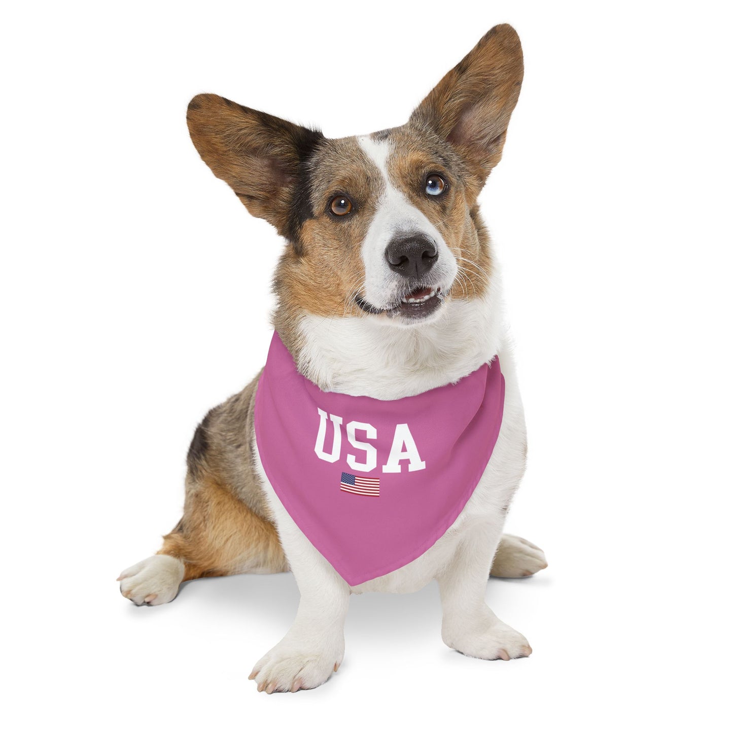 Princess Grace  TEAM USA  Pet Bandana Collar