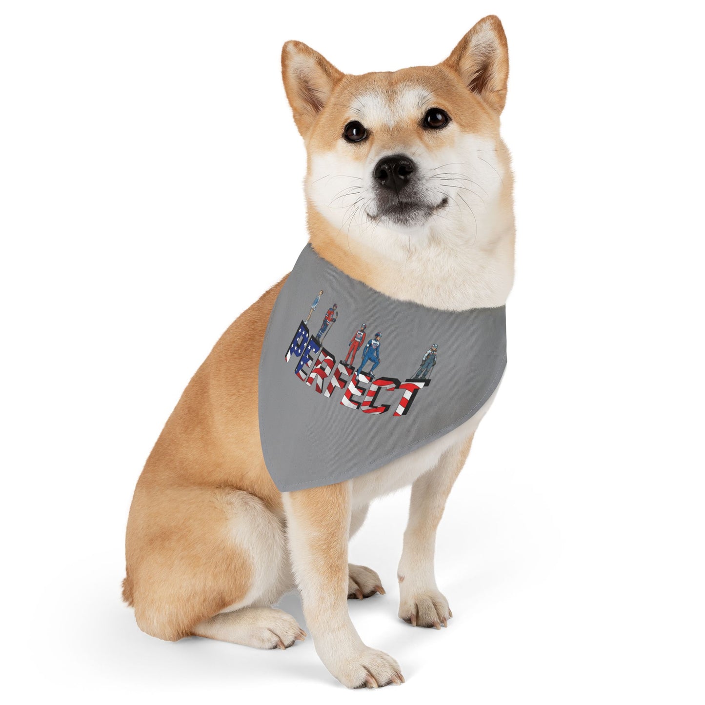 Princess Grace  TEAM USA  Pet Bandana Collar