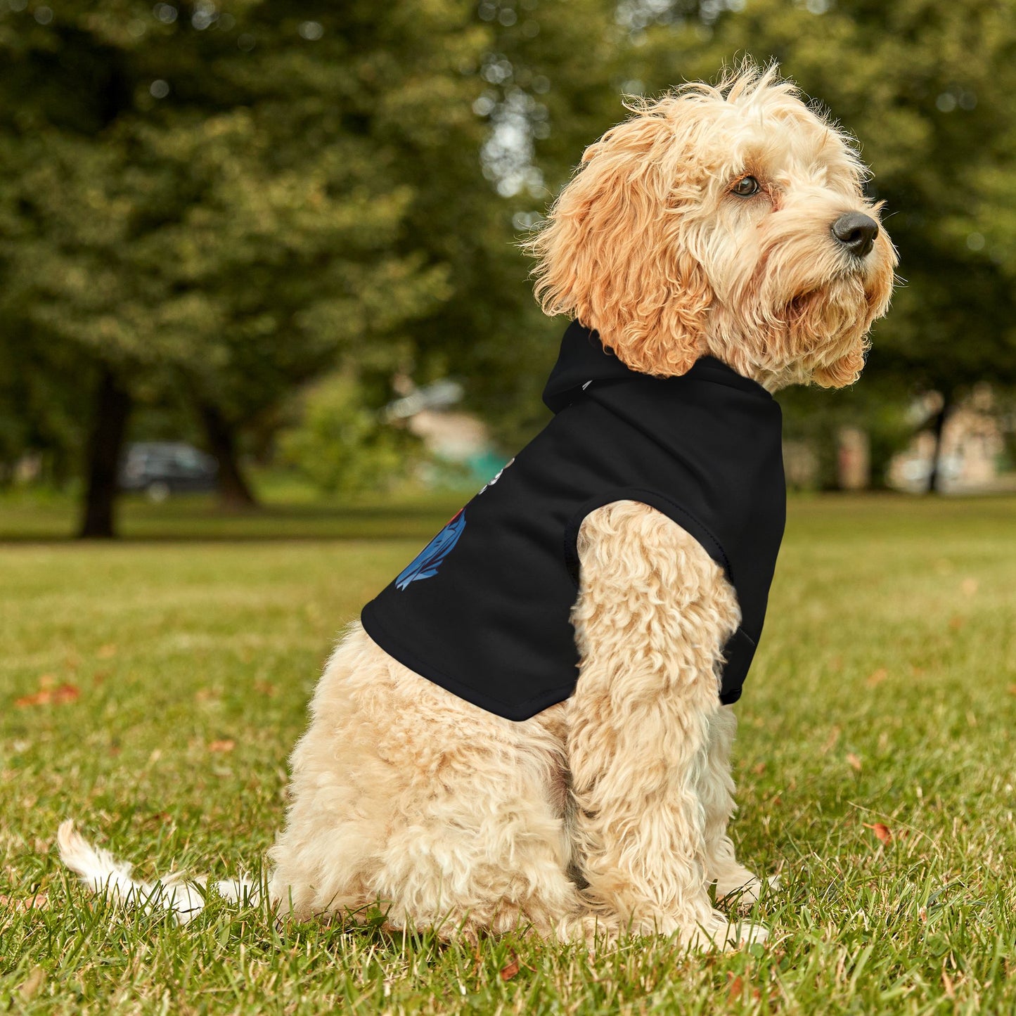Princess Grace  TEAM USA  Pet Hoodie