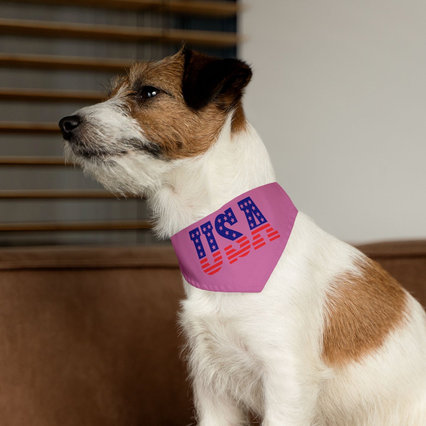 Princess Grace  Patriotic Dog Bandana Collar  USA Flag Design for July 4th Celebrations