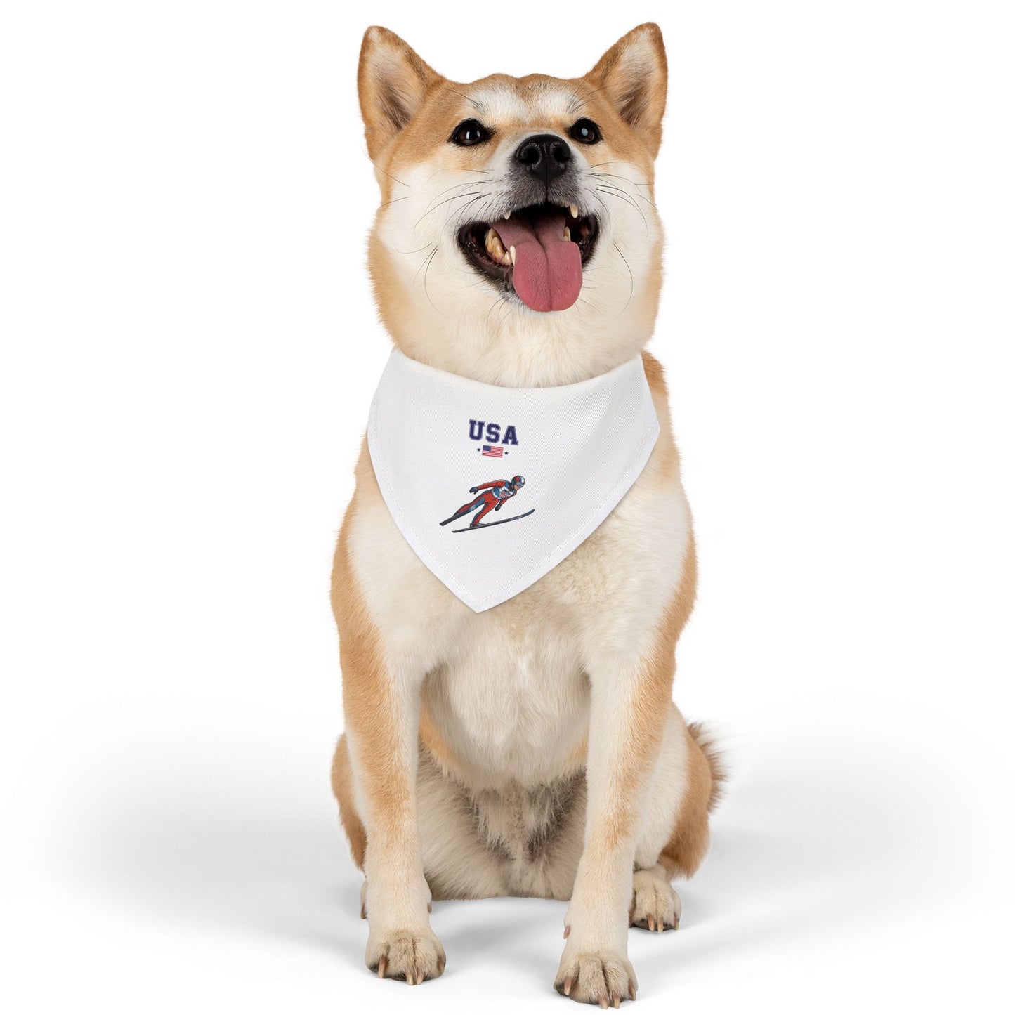 Princess Grace  TEAM USA  Pet Bandana Collar