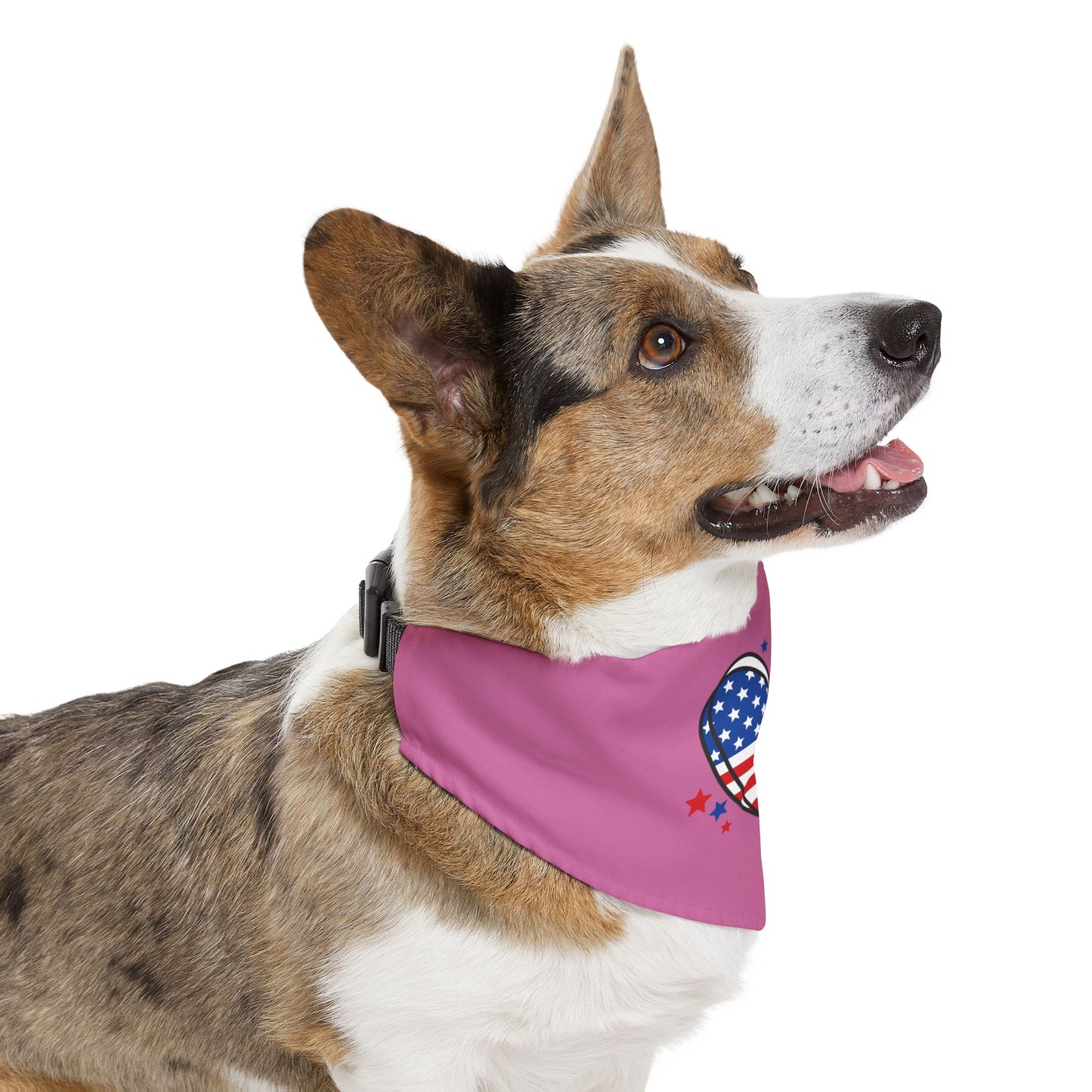 Princess Grace  Patriotic Pet Bandana Collar Heart and Stars Design for Dog Lovers