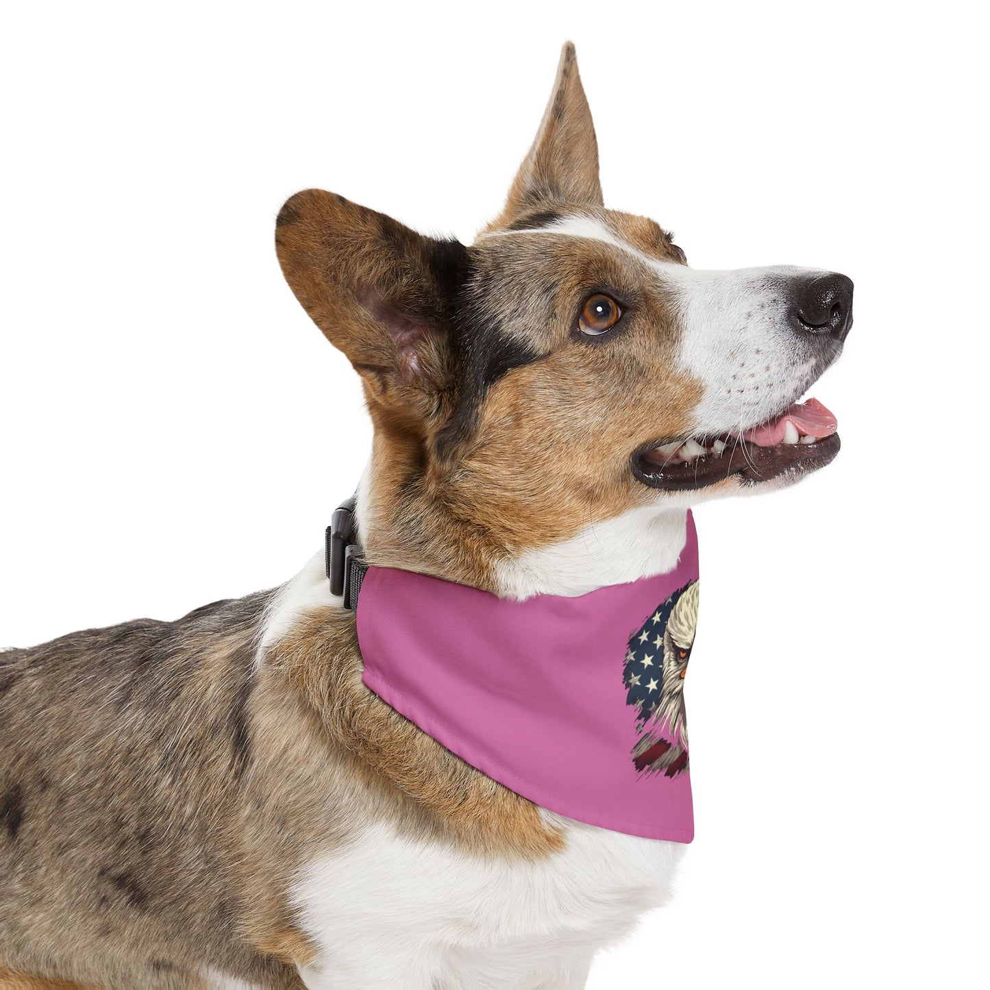 Princess Grace  Patriotic Eagle Pet Bandana Collar Perfect for Fourth of July and Memorial Day Celebrations