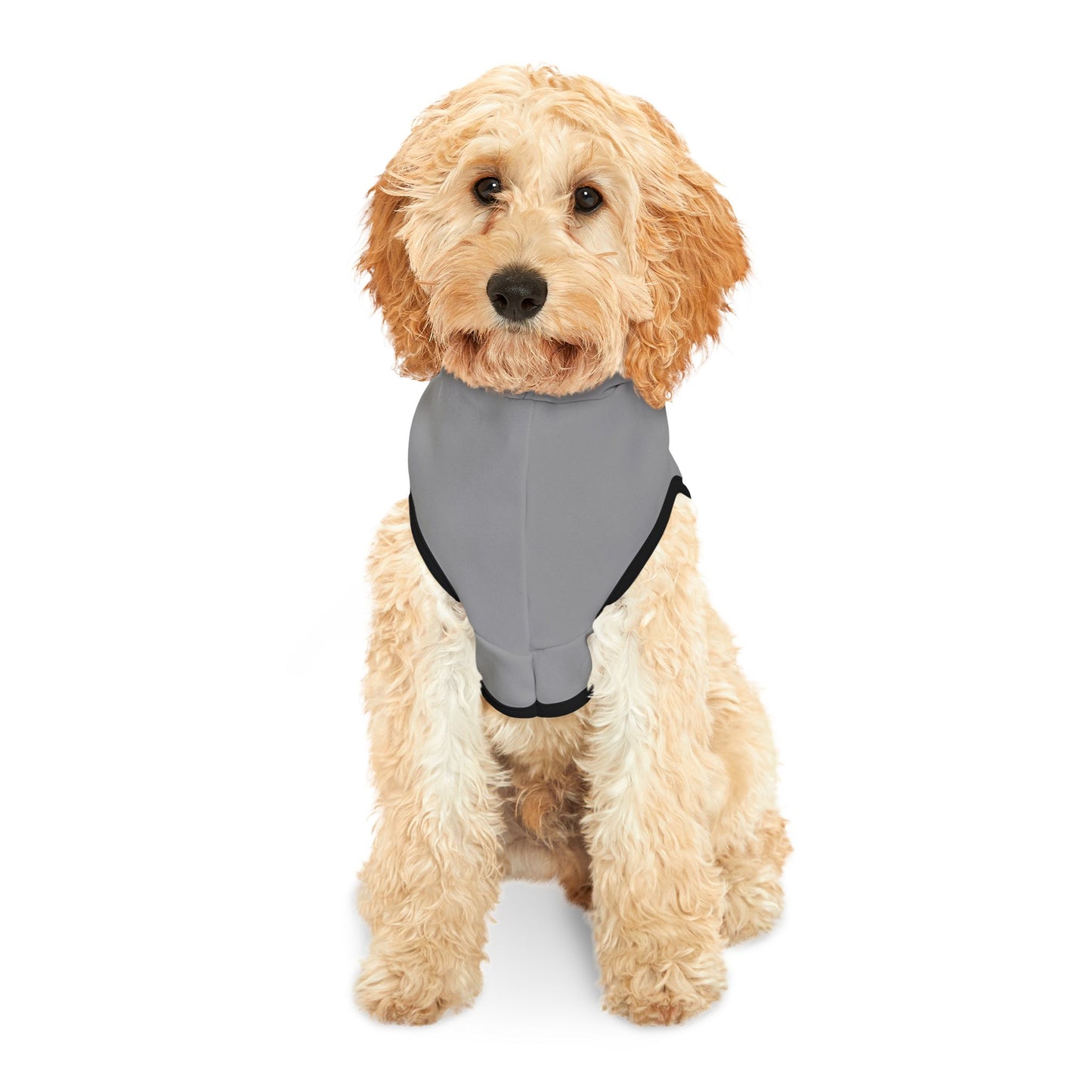 Princess Grace  TEAM USA  Pet Hoodie