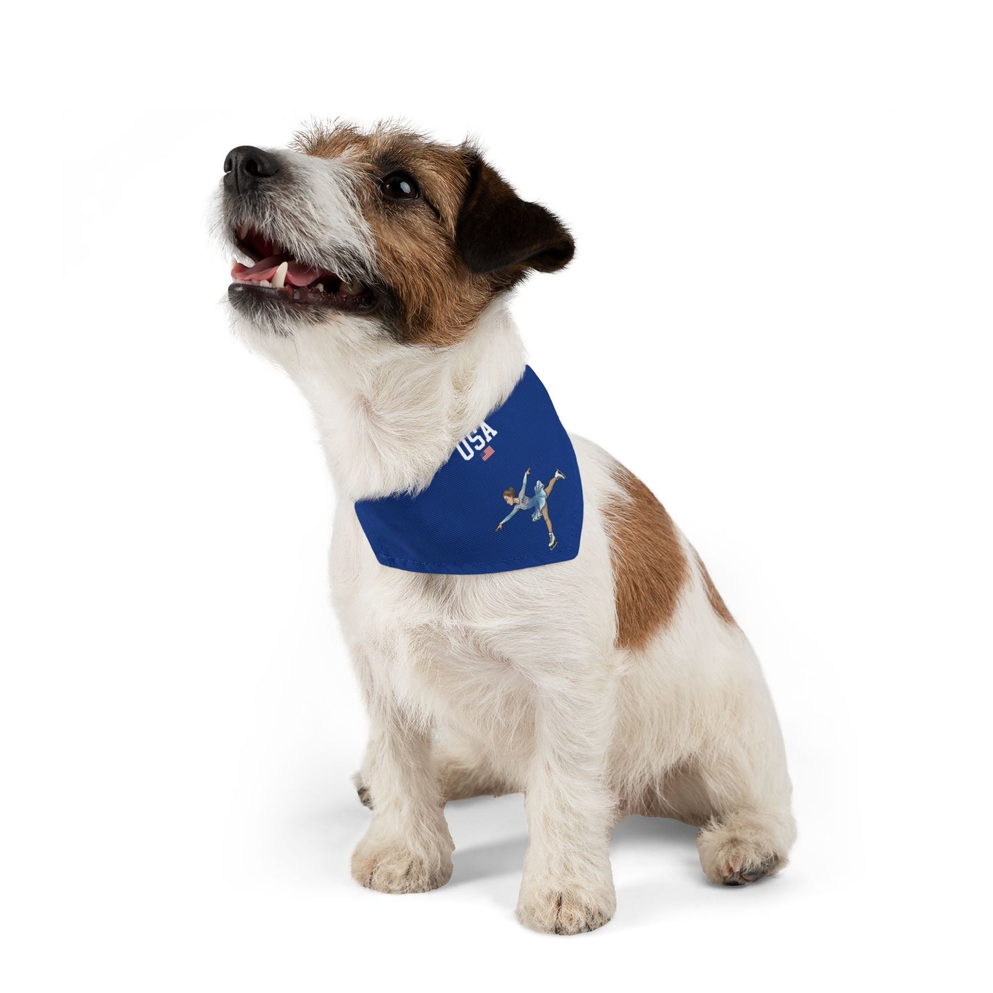 Princess Grace  TEAM USA  Pet Bandana Collar